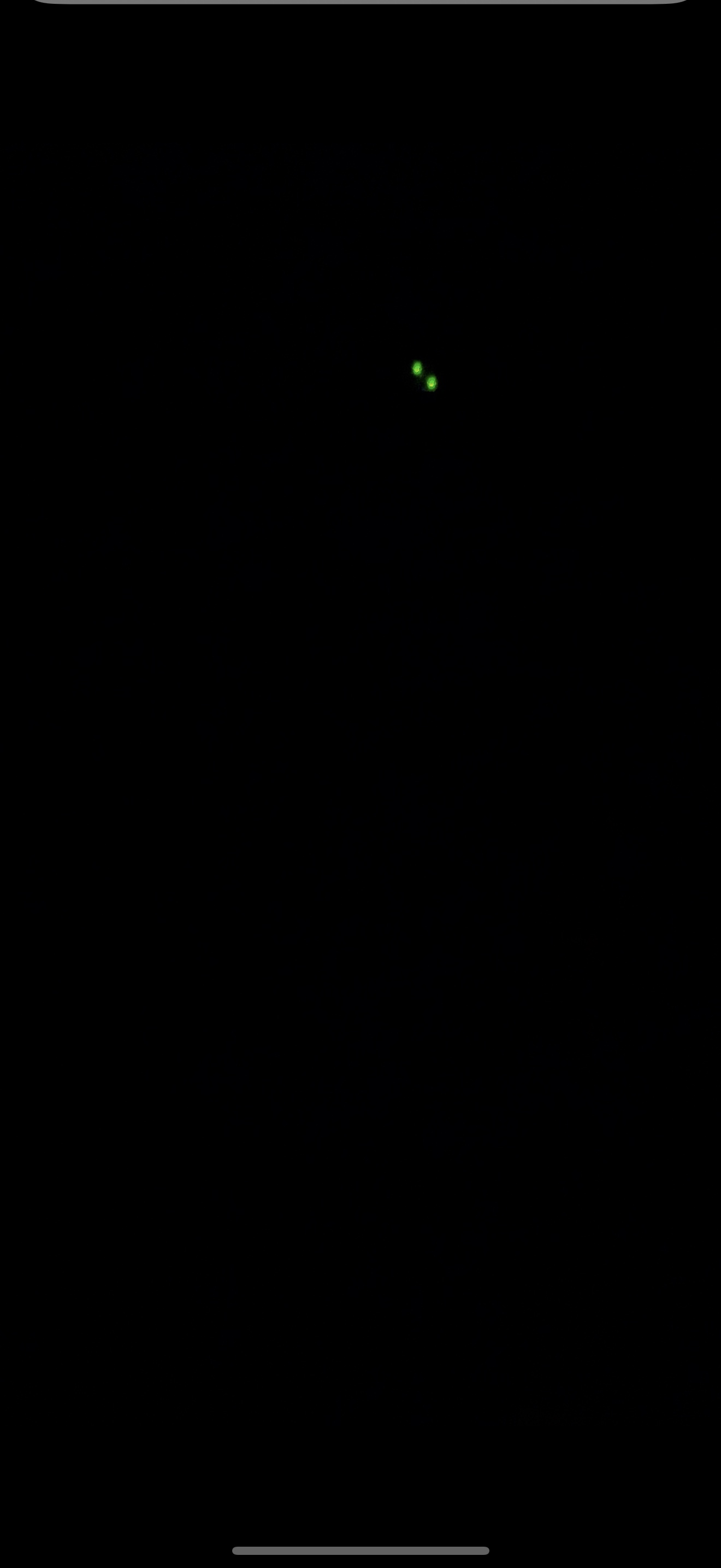 µı´ãƵʵһѾ