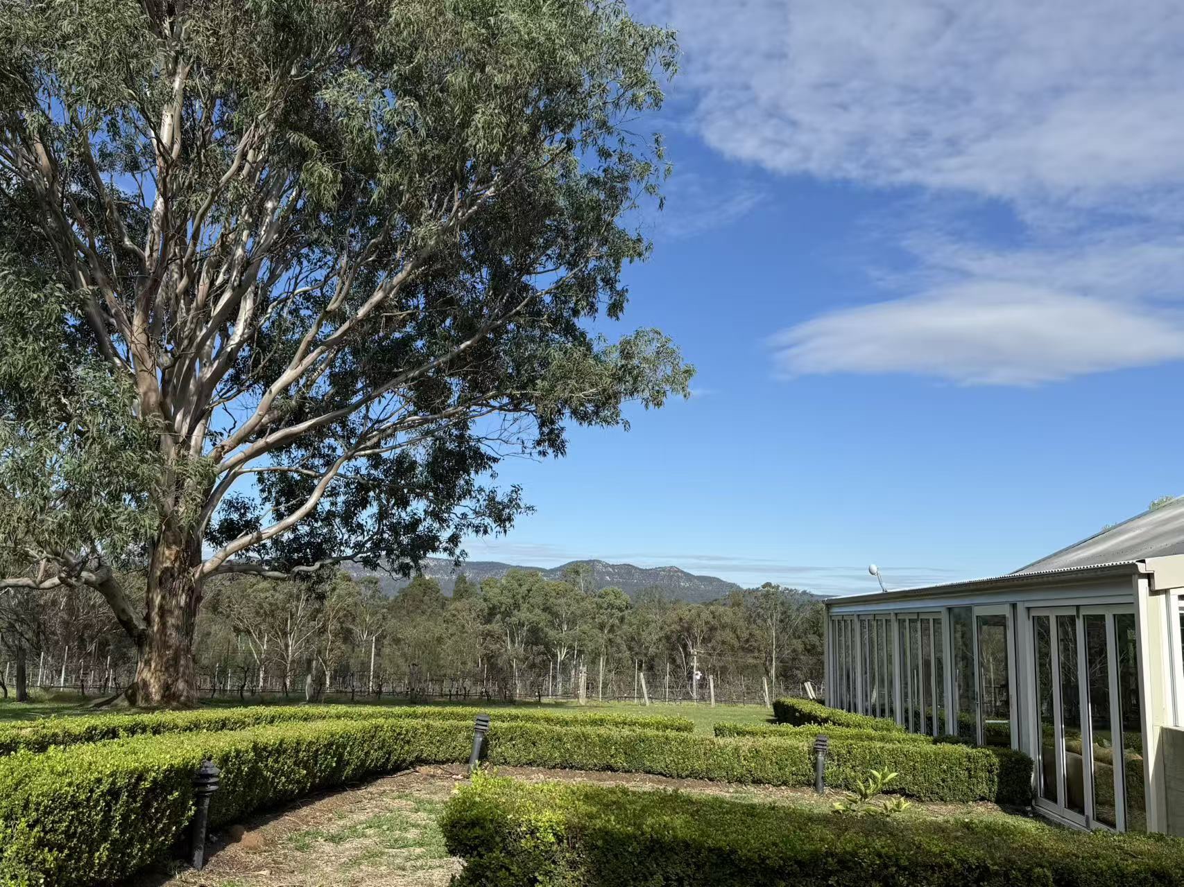 ʷ˹Ѳ嵯 - Spicers Vinyards Eatate - ˹ King Spa Terrence