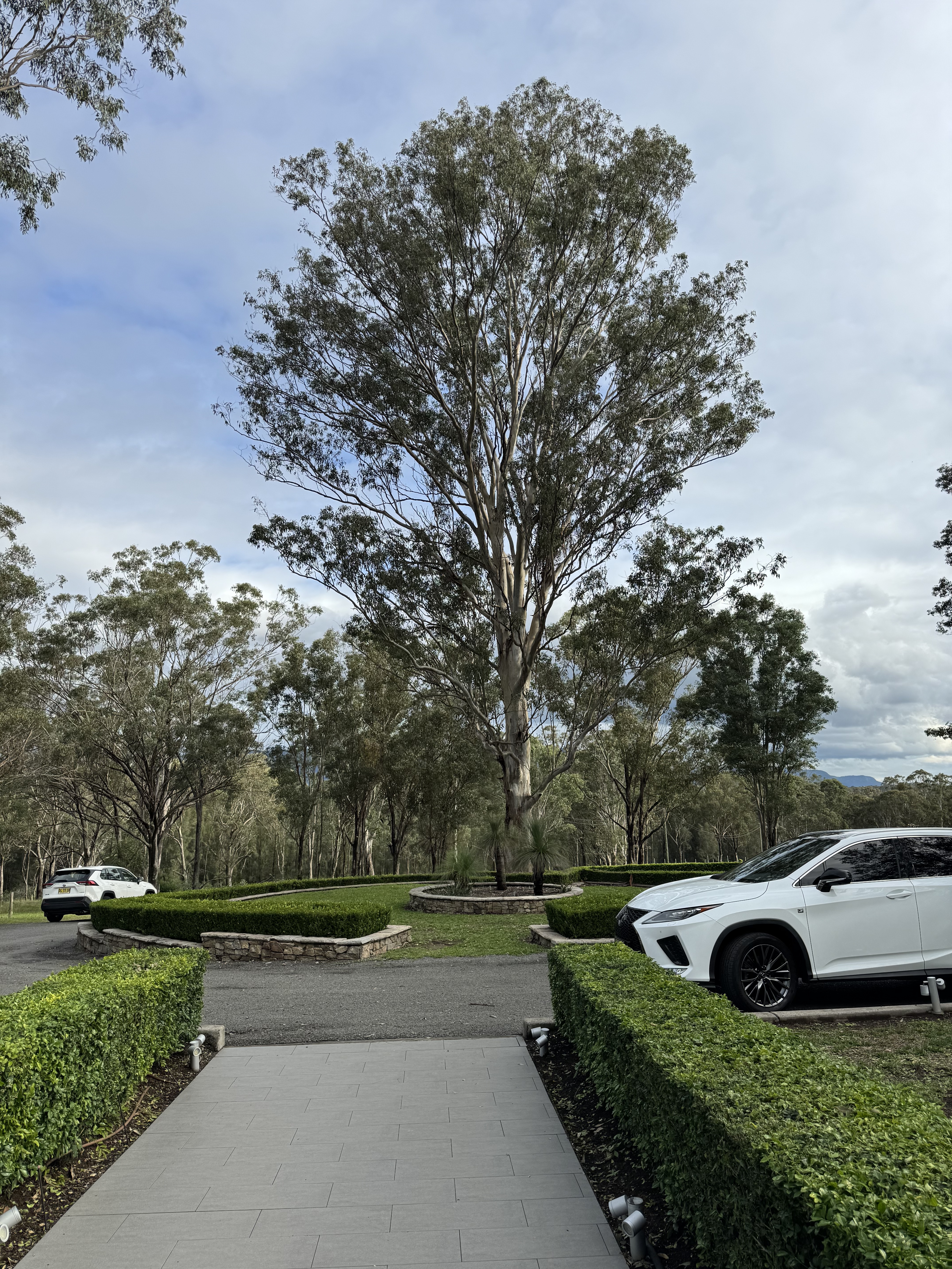 ʷ˹Ѳ嵯 - Spicers Vinyards Eatate - ˹ King Spa Terrence