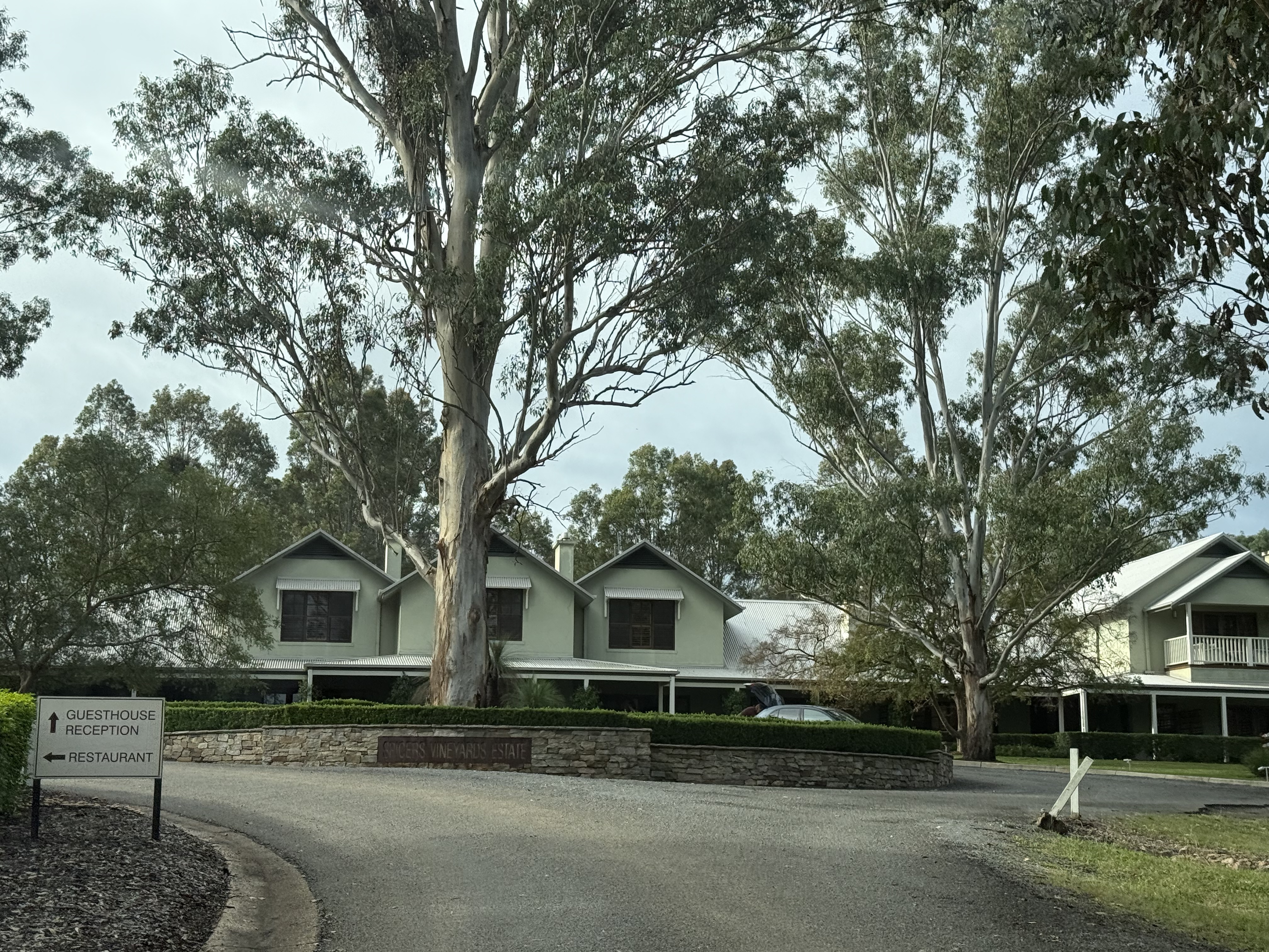ʷ˹Ѳ嵯 - Spicers Vinyards Eatate - ˹ King Spa Terrence