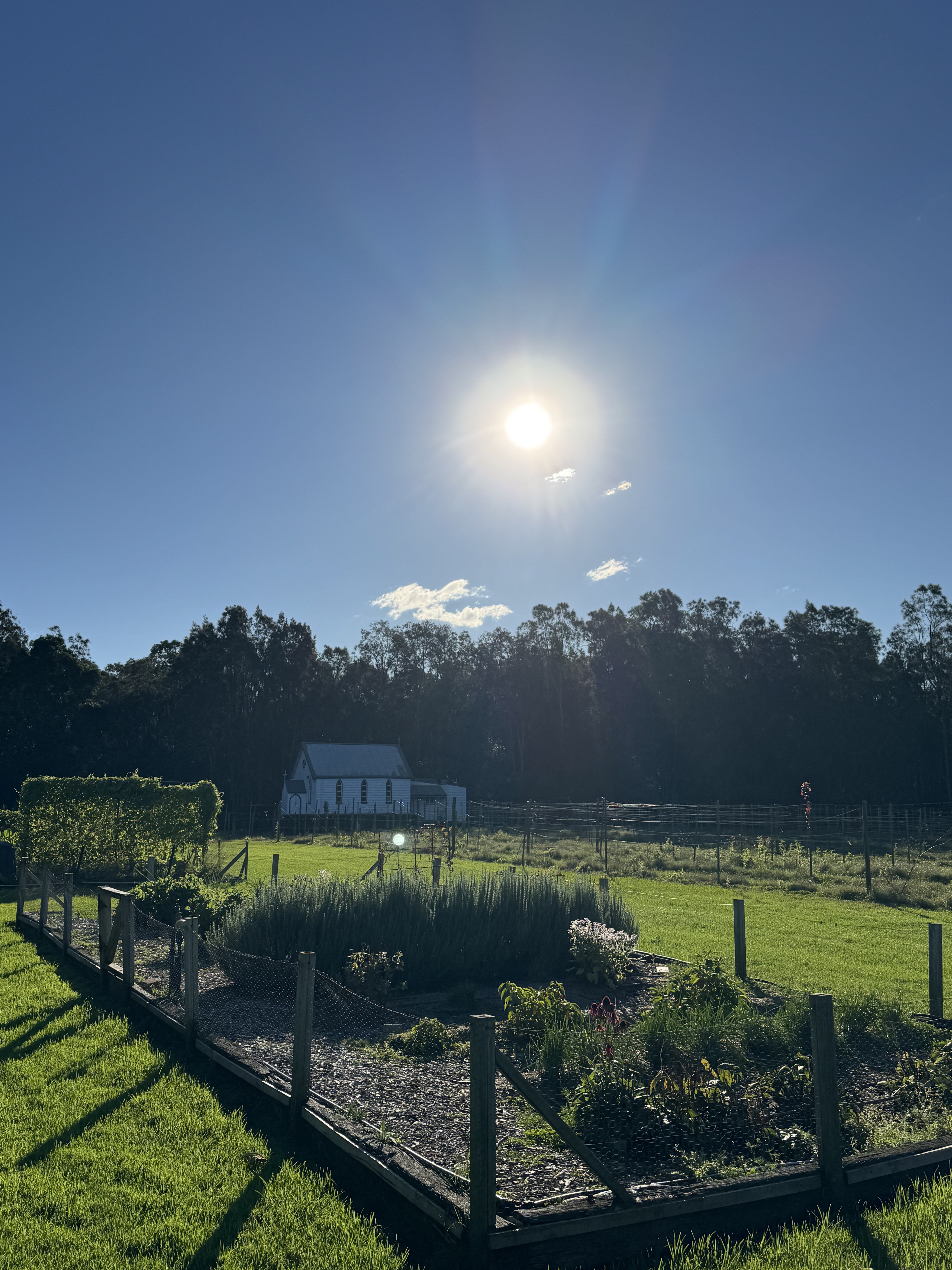 ʷ˹Ѳ嵯 - Spicers Vinyards Eatate - ˹ King Spa Terrence