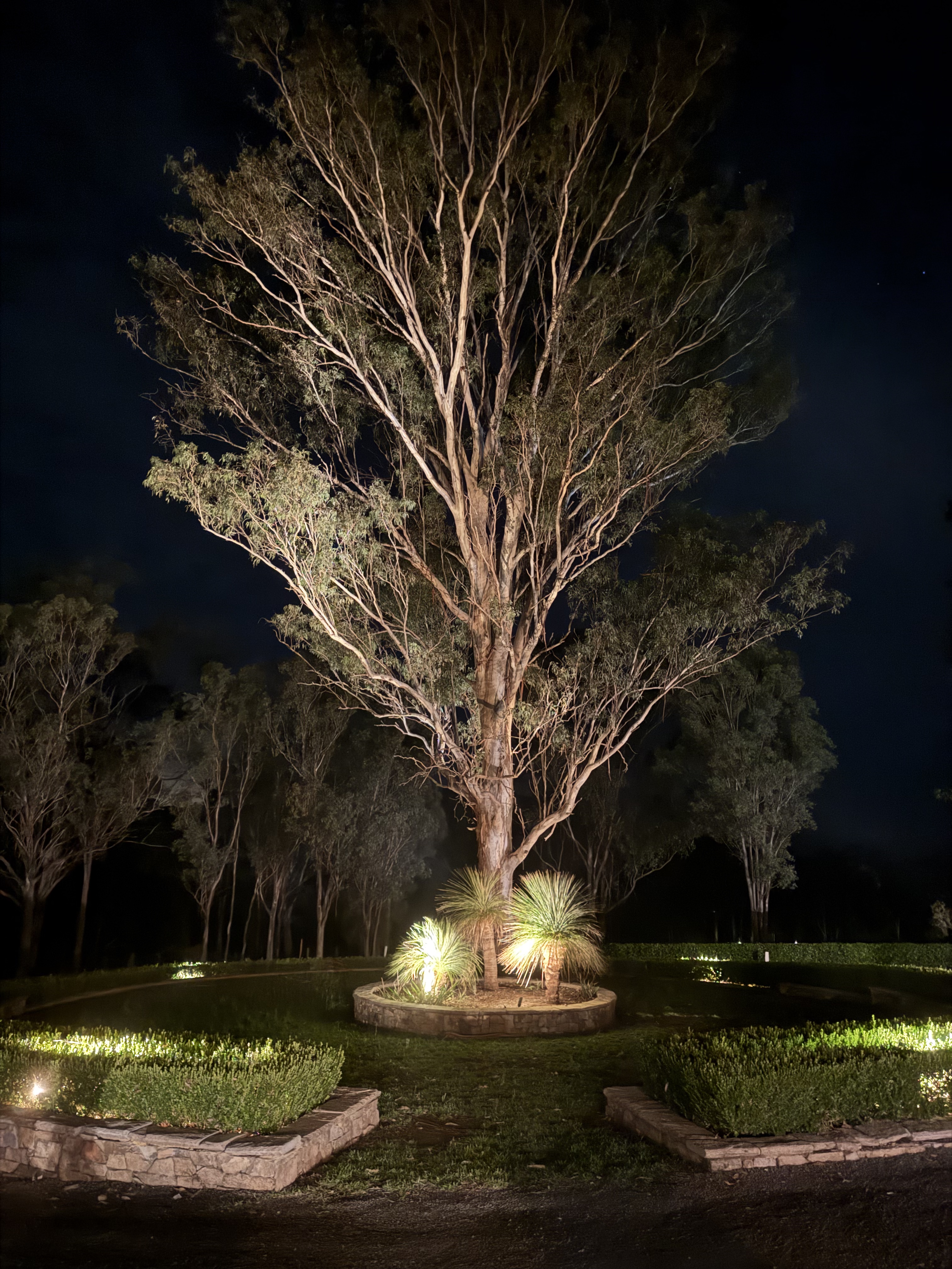 ʷ˹Ѳ嵯 - Spicers Vinyards Eatate - ˹ King Spa Terrence