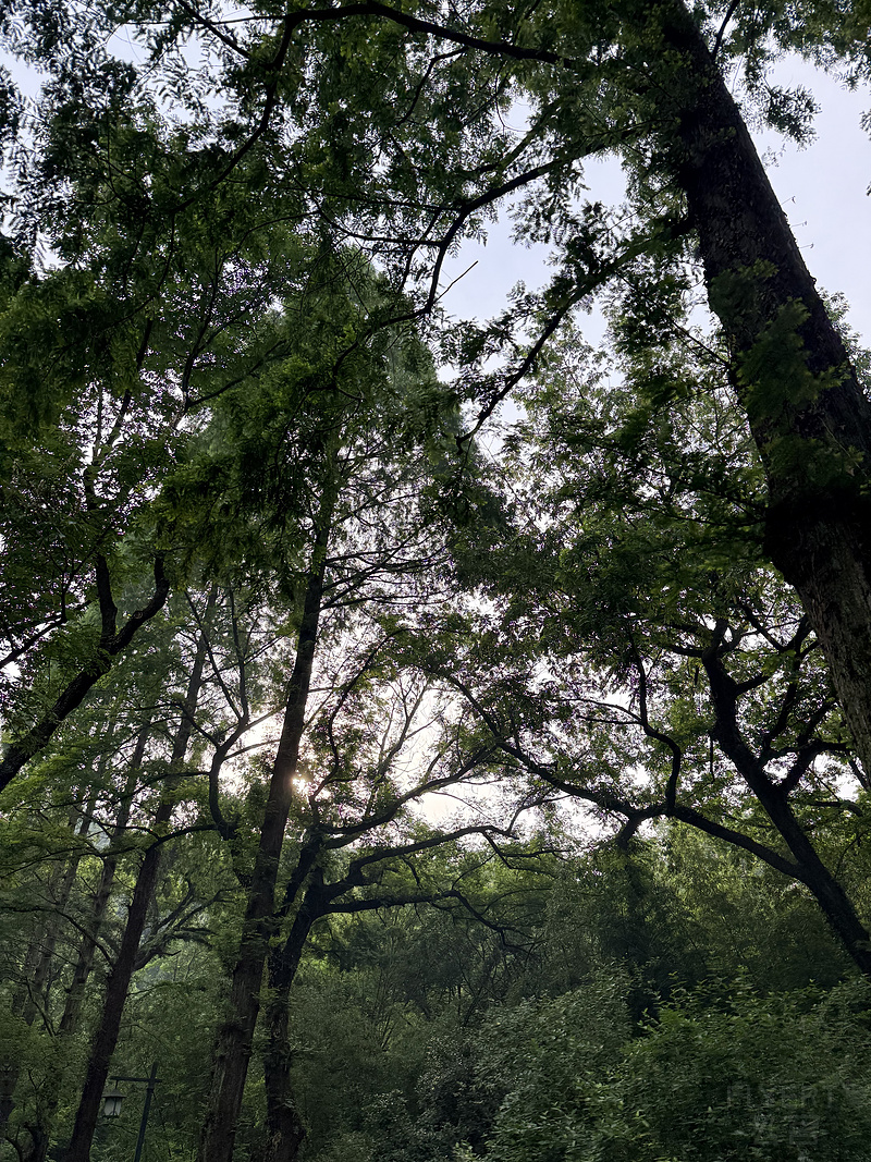 195632MZLPHRCDRBIMFZKZ.png 195632MZLPHRCDRBIMFZKZ.png
