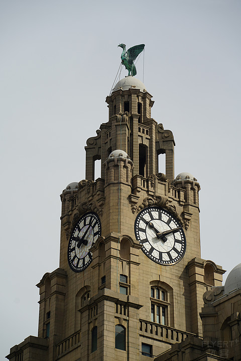 ׷ӵһƬĺɫѡThe Halyard Liverpool