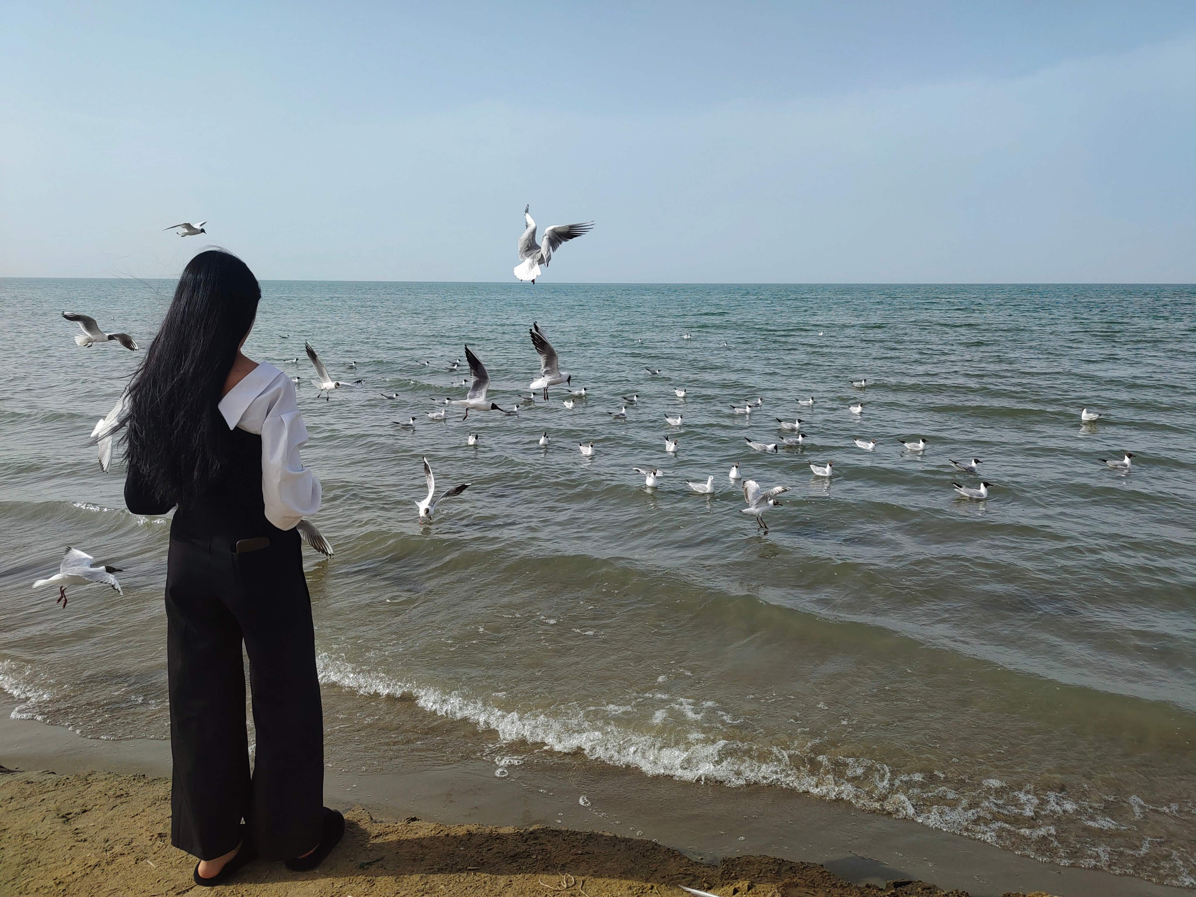 TTٴ뽮CCA8277人WUH-дLHW-KRLб