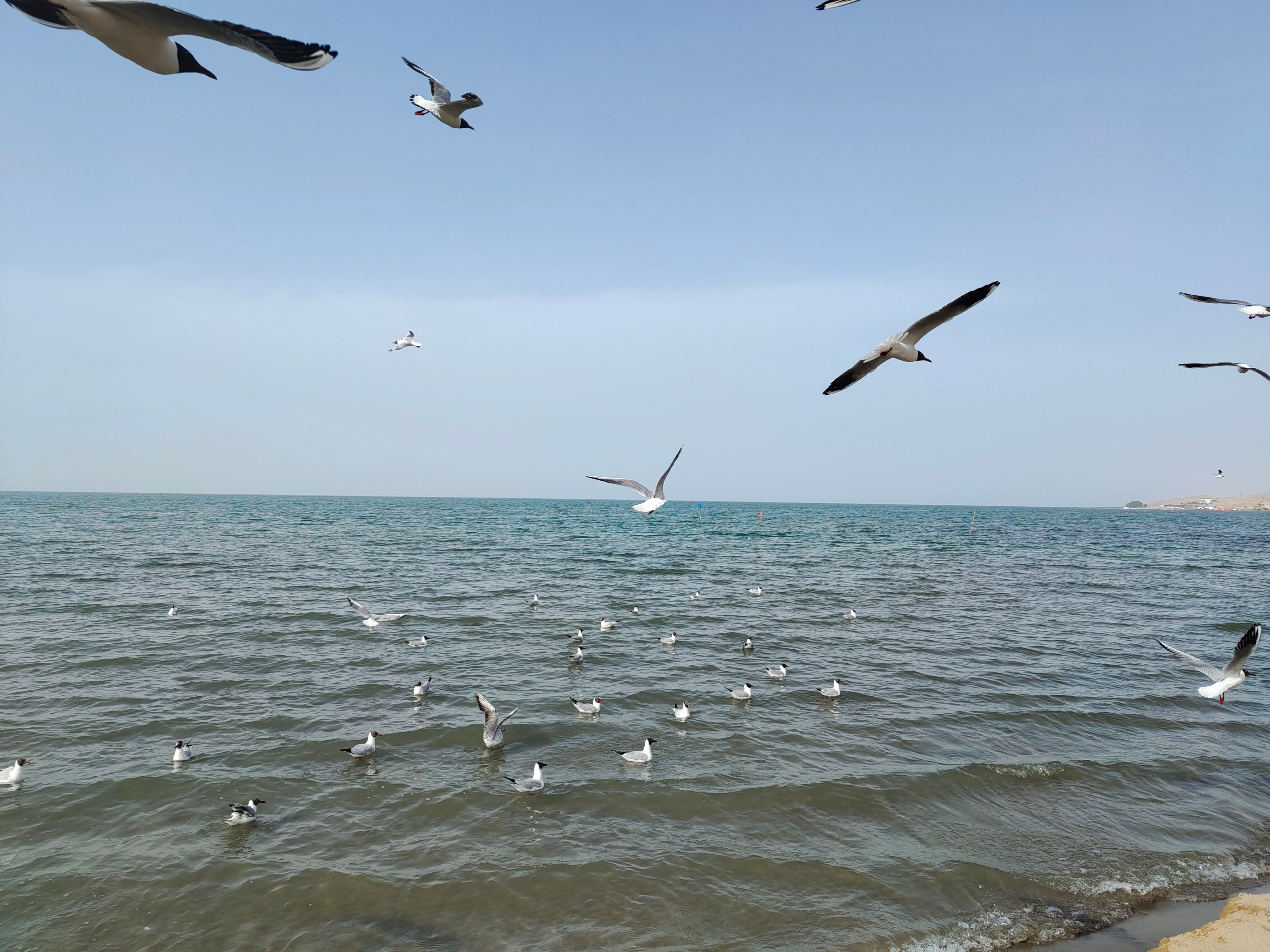 TTٴ뽮CCA8277人WUH-дLHW-KRLб