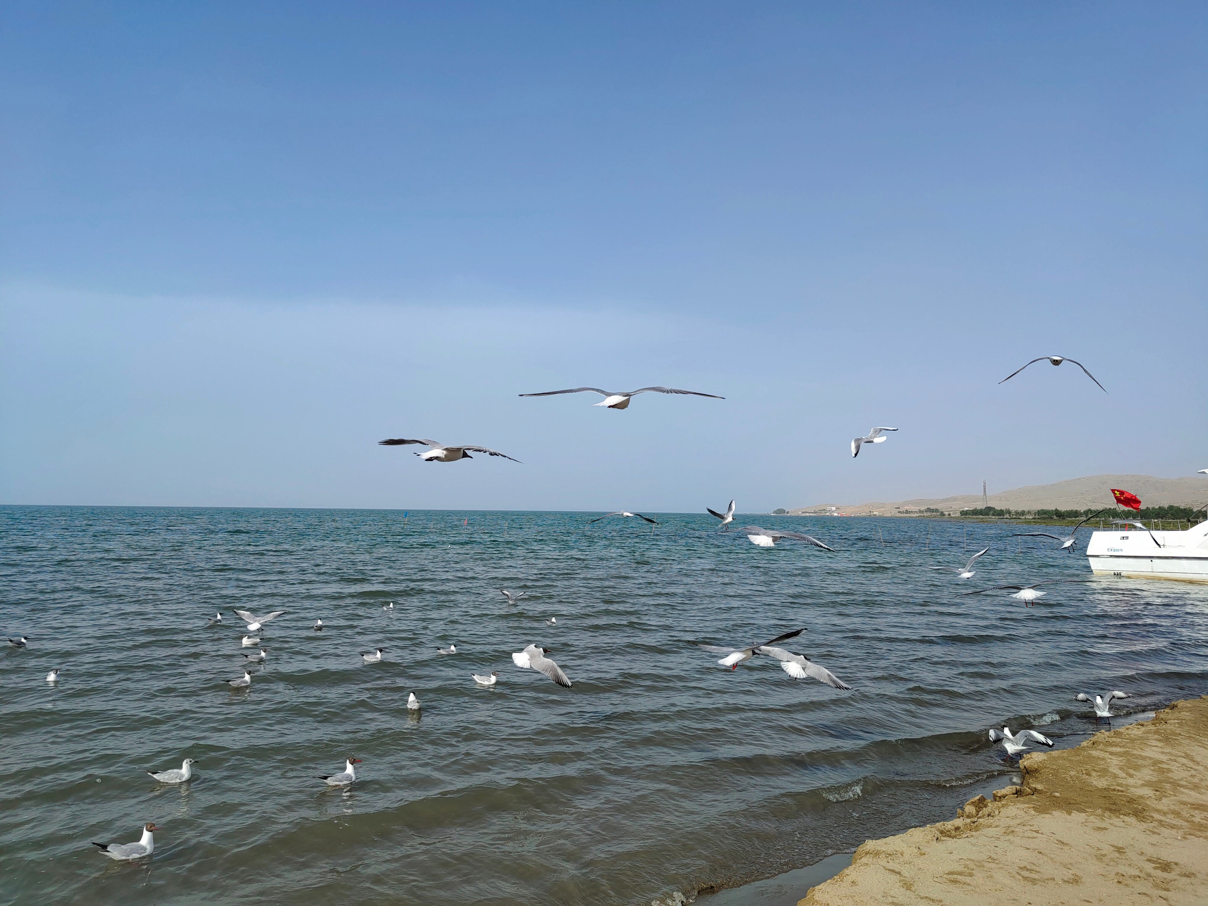 TTٴ뽮CCA8277人WUH-дLHW-KRLб