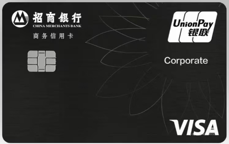 VISA˫оƬҲͦÿ