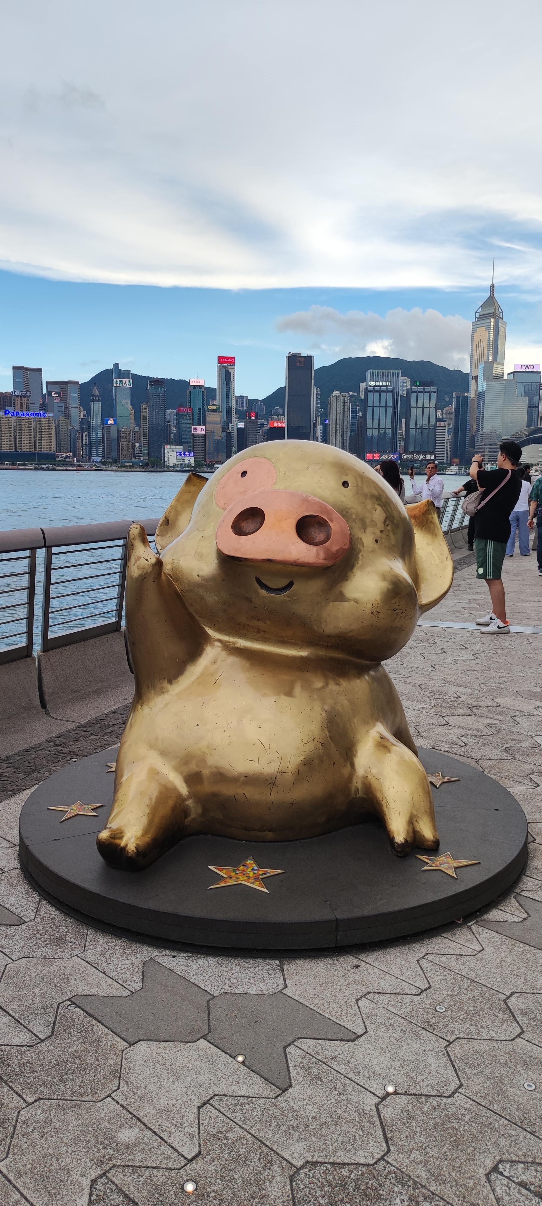 ͭѡվƵ꣬ѡƵĵͲξ;Ƶ