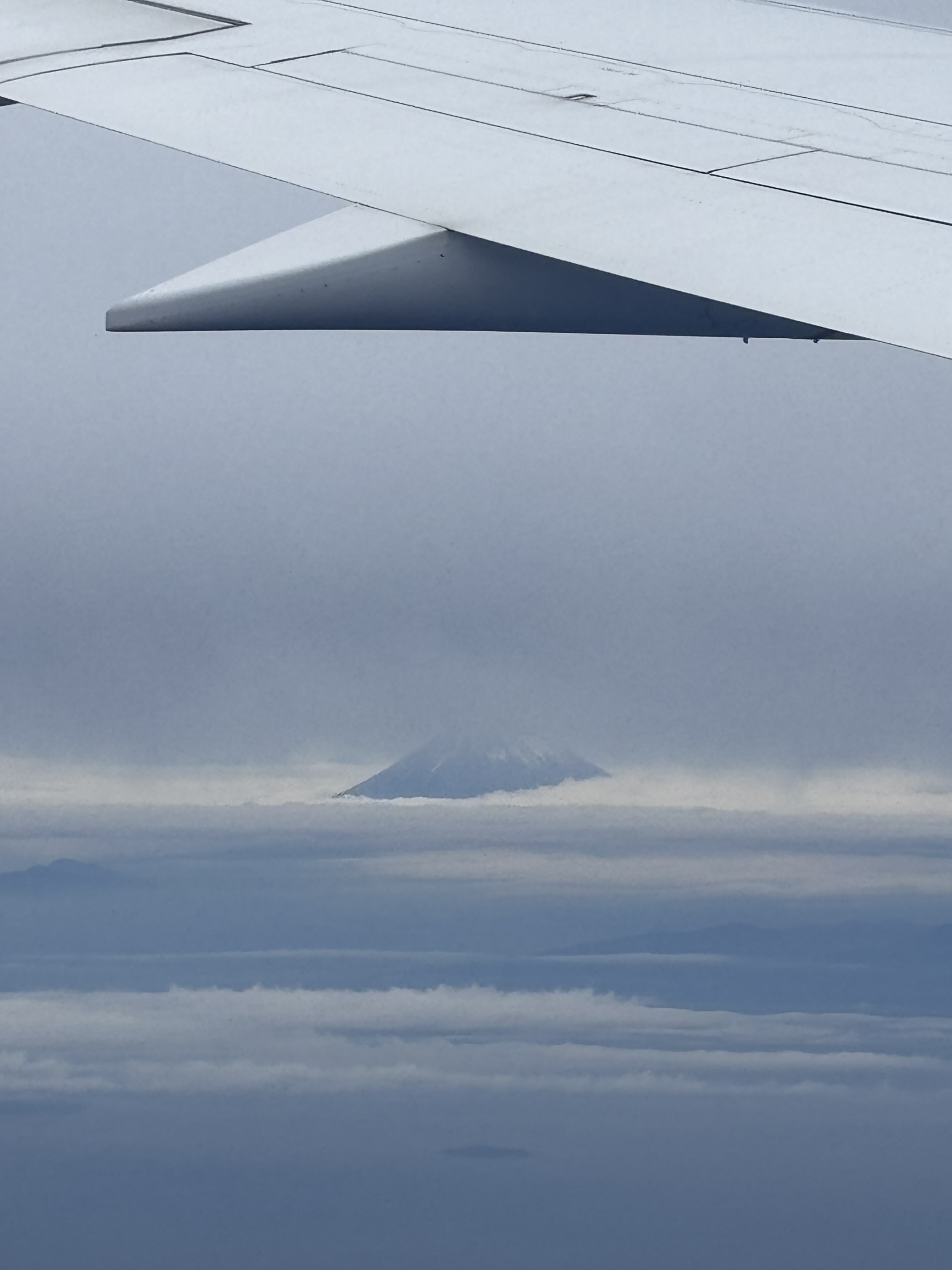 JALA350-1000 òգPVG - HND - JFK б