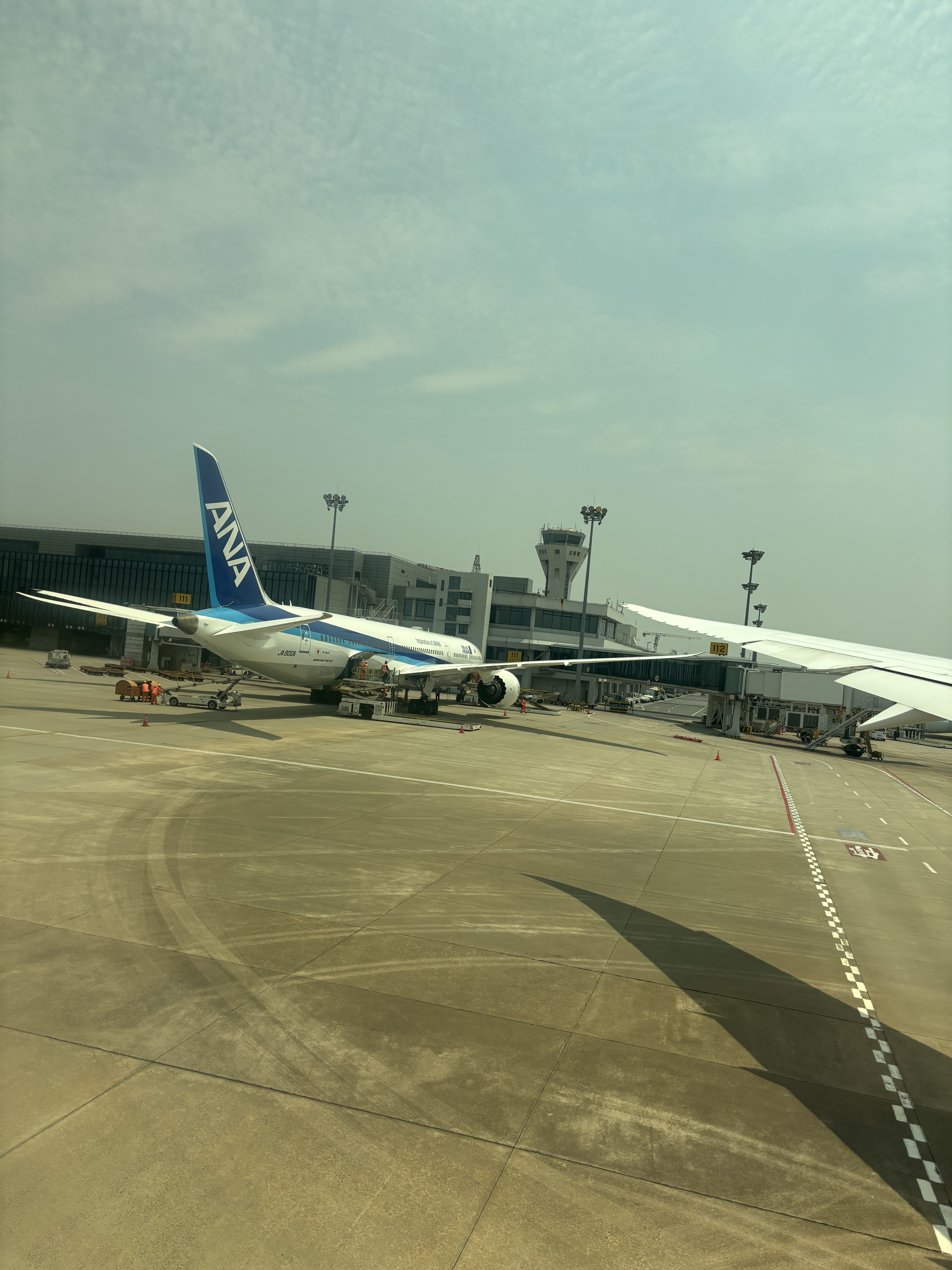 JALA350-1000 òգPVG - HND - JFK б