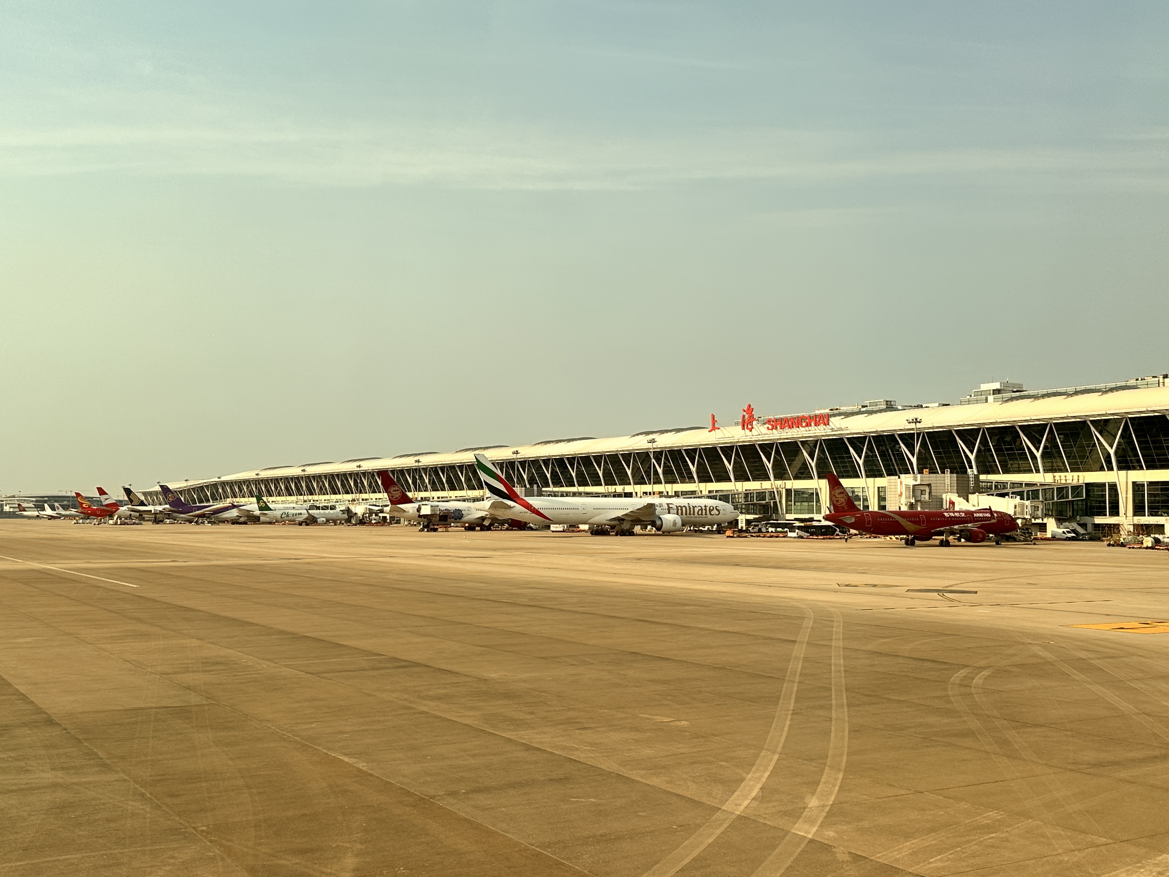 ڰȯóȥ&ˢ787