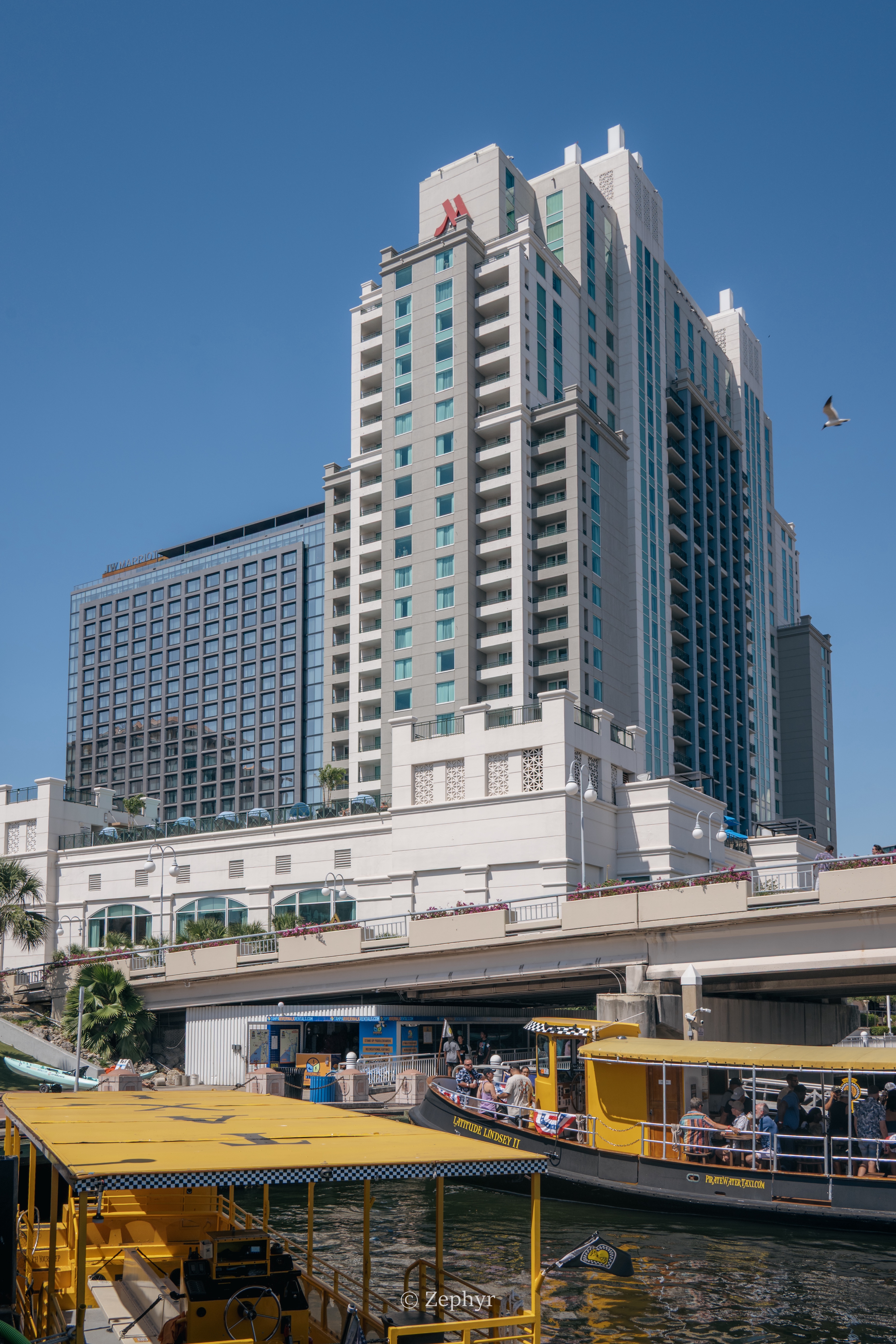 µ꣬жȼ٣׷̹ˮJWƵ JW Marriott Tampa Water Street