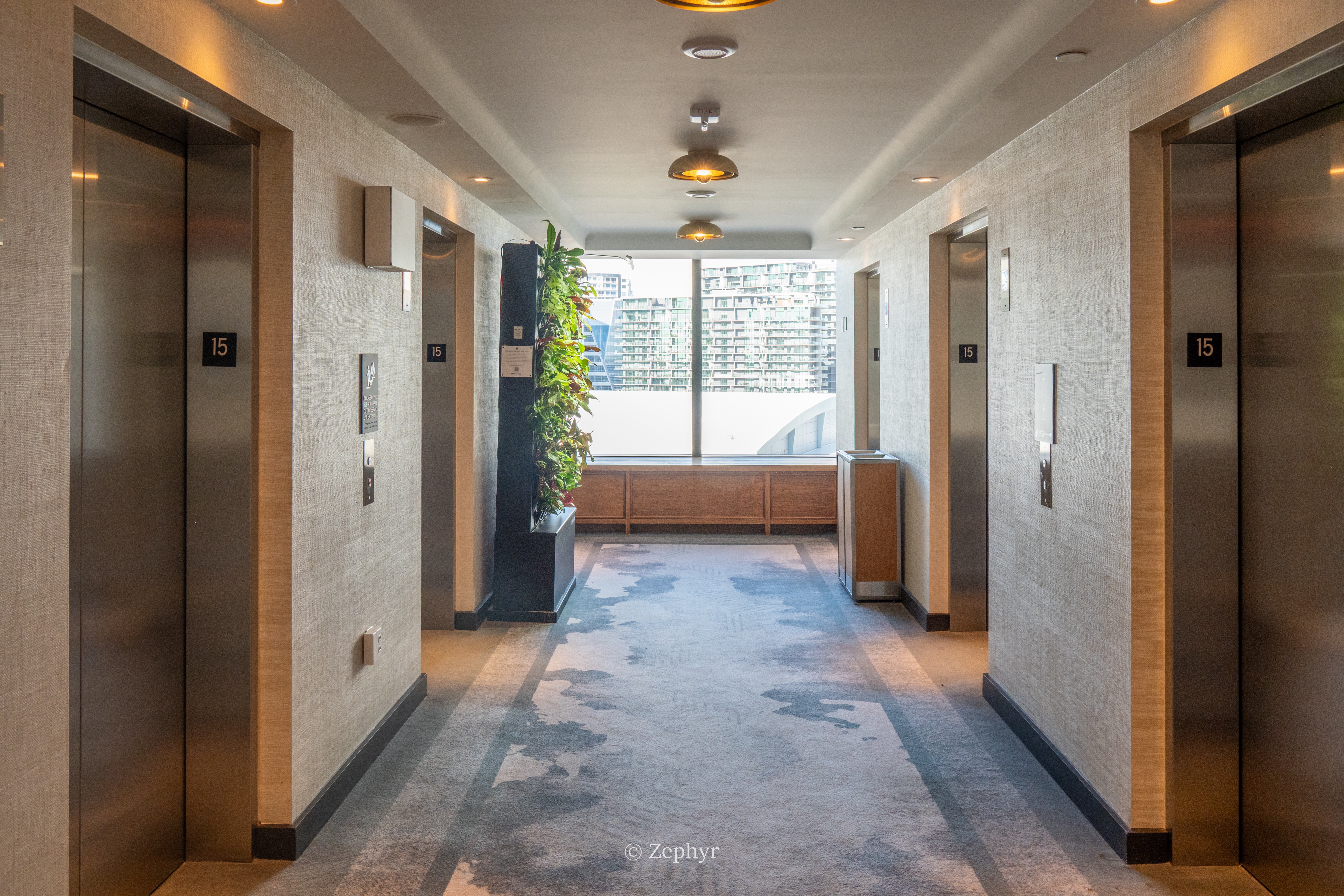 µ꣬жȼ٣׷̹ˮJWƵ JW Marriott Tampa Water Street