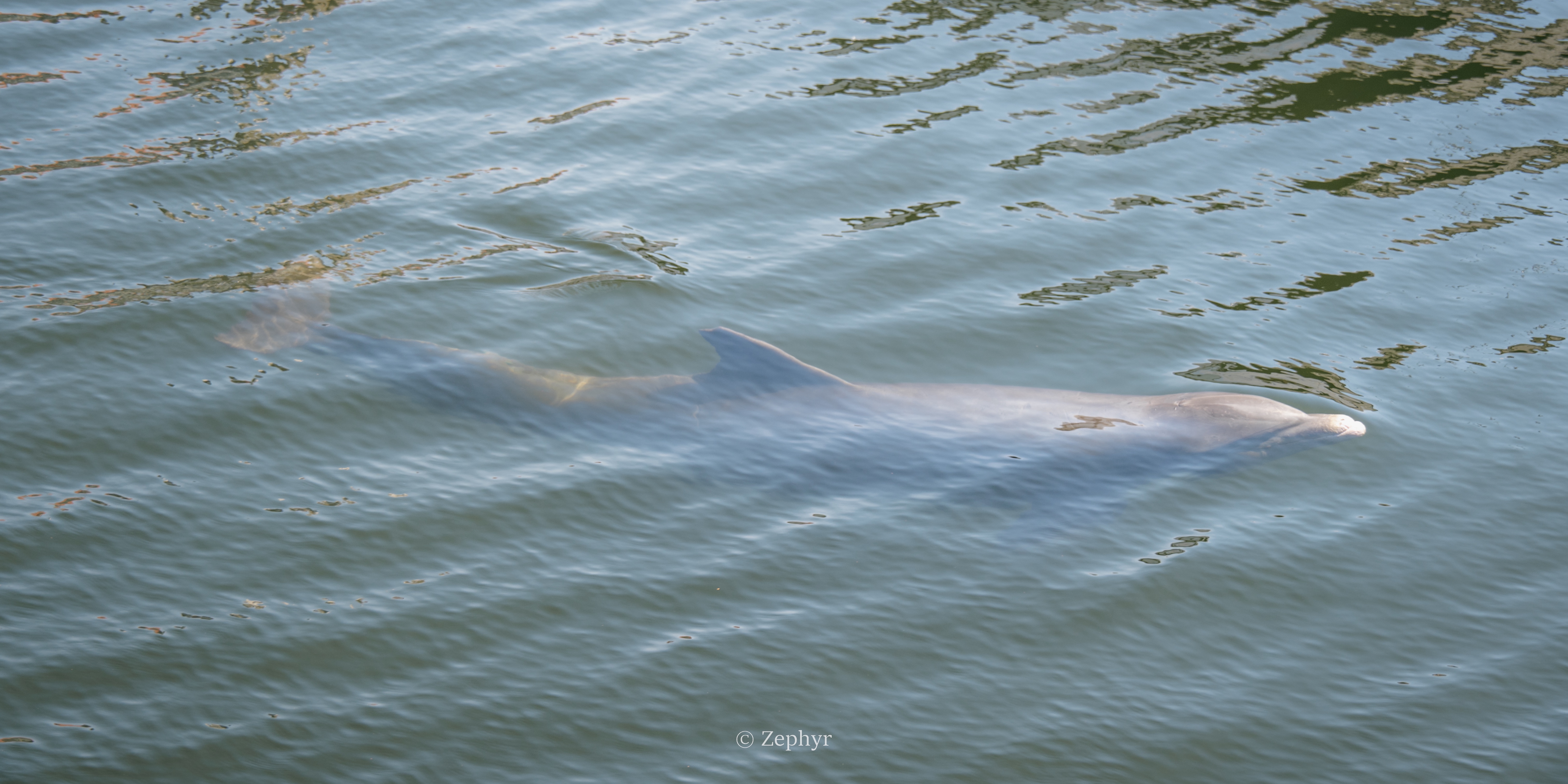 µ꣬жȼ٣׷̹ˮJWƵ JW Marriott Tampa Water Street