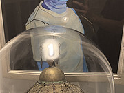 <em></em>ȫJW