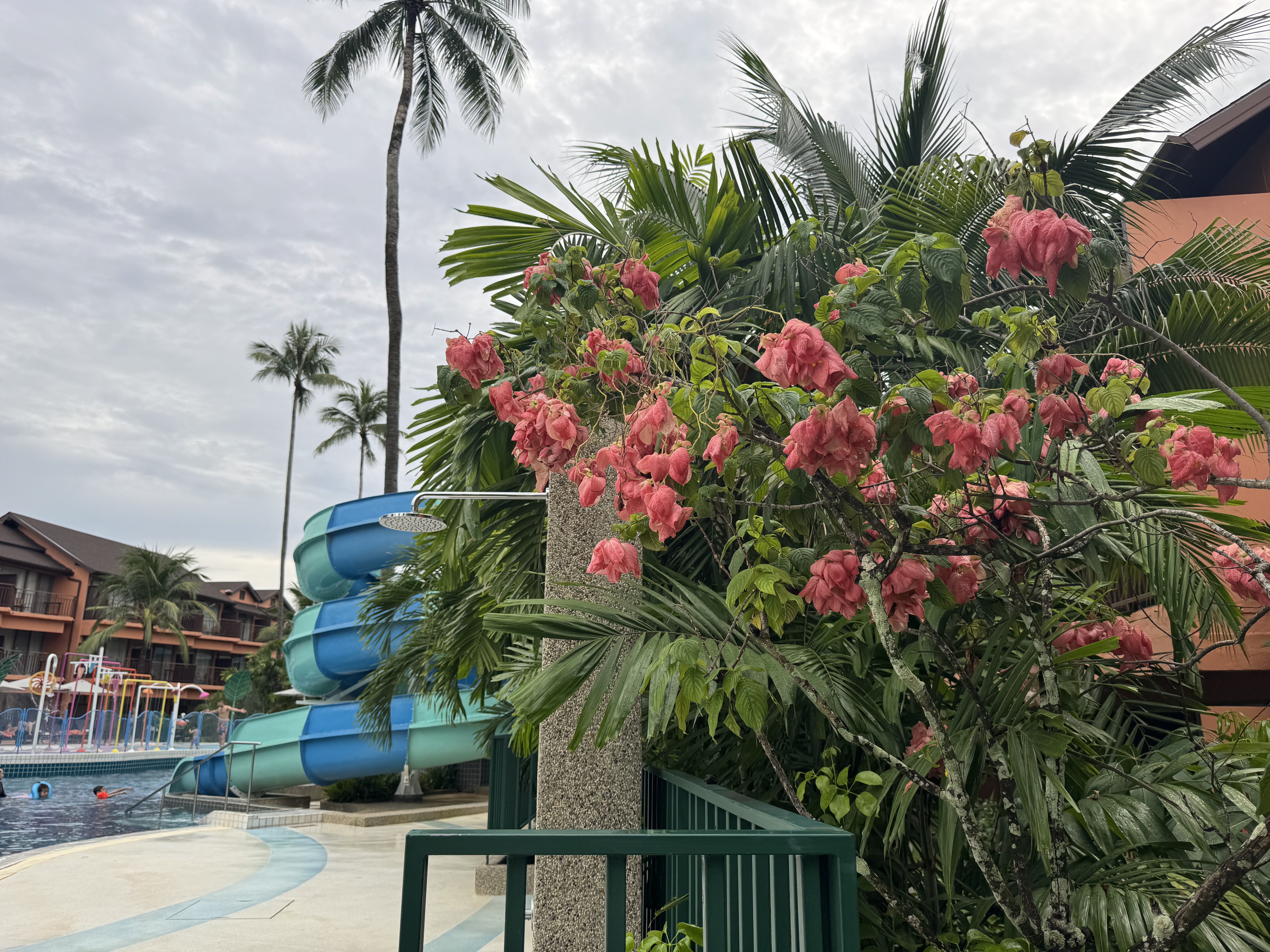 Courtyard Patong ռŶ̲  꼾