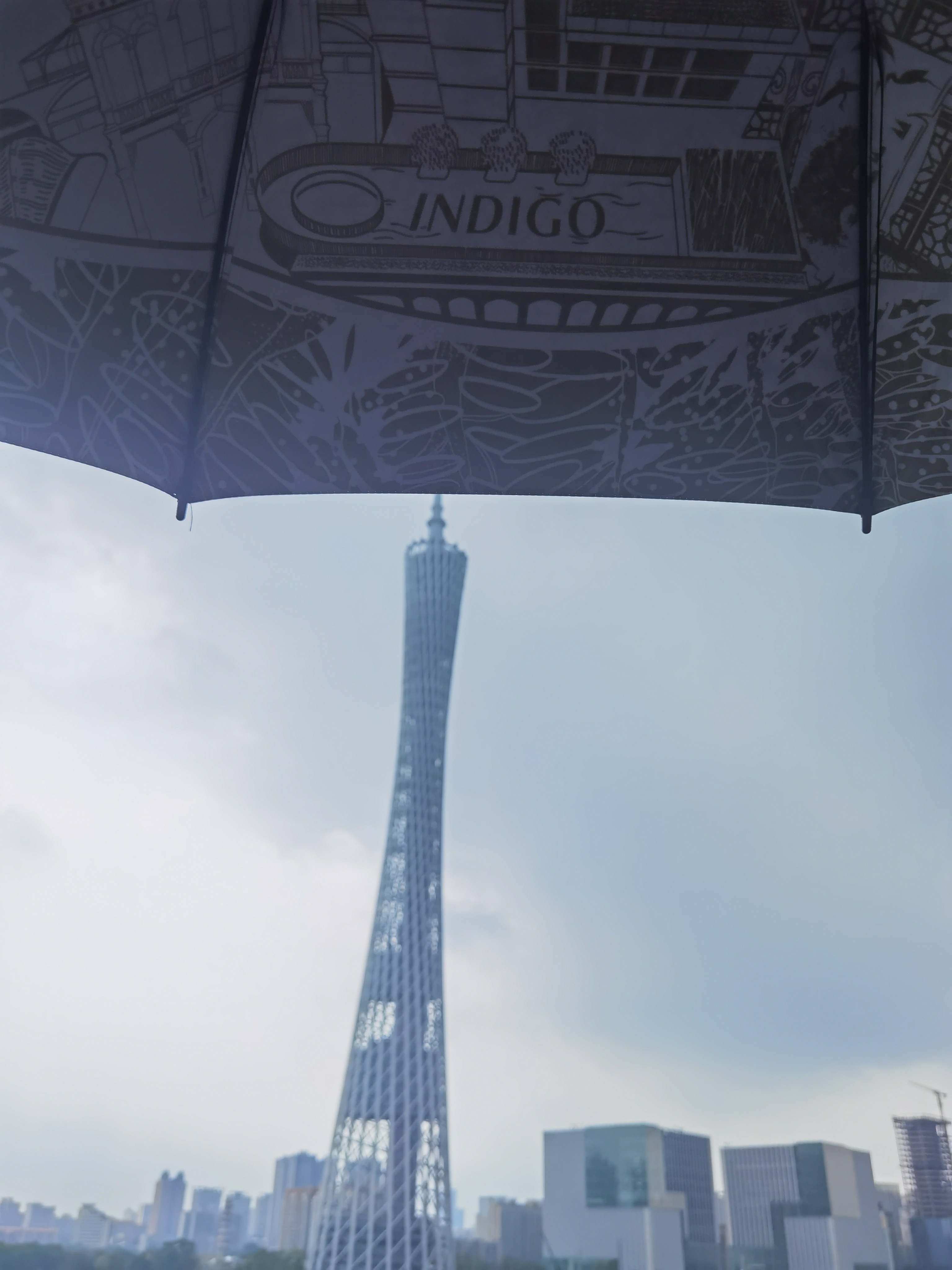 Ĳ齭ǡݺɳӢϸƵ
