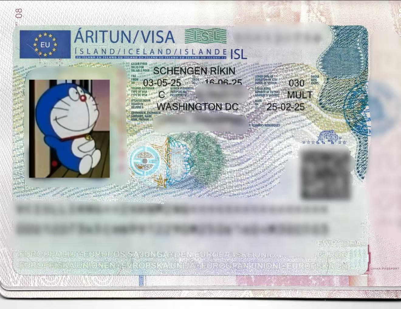 գGL781 GL272 籾 - Ŭ - ¬ ͦȦ