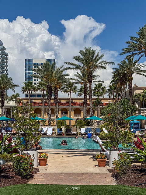 ٺӣ̹ܱߣ˼پƵ The Ritz-Carlton Sarasota