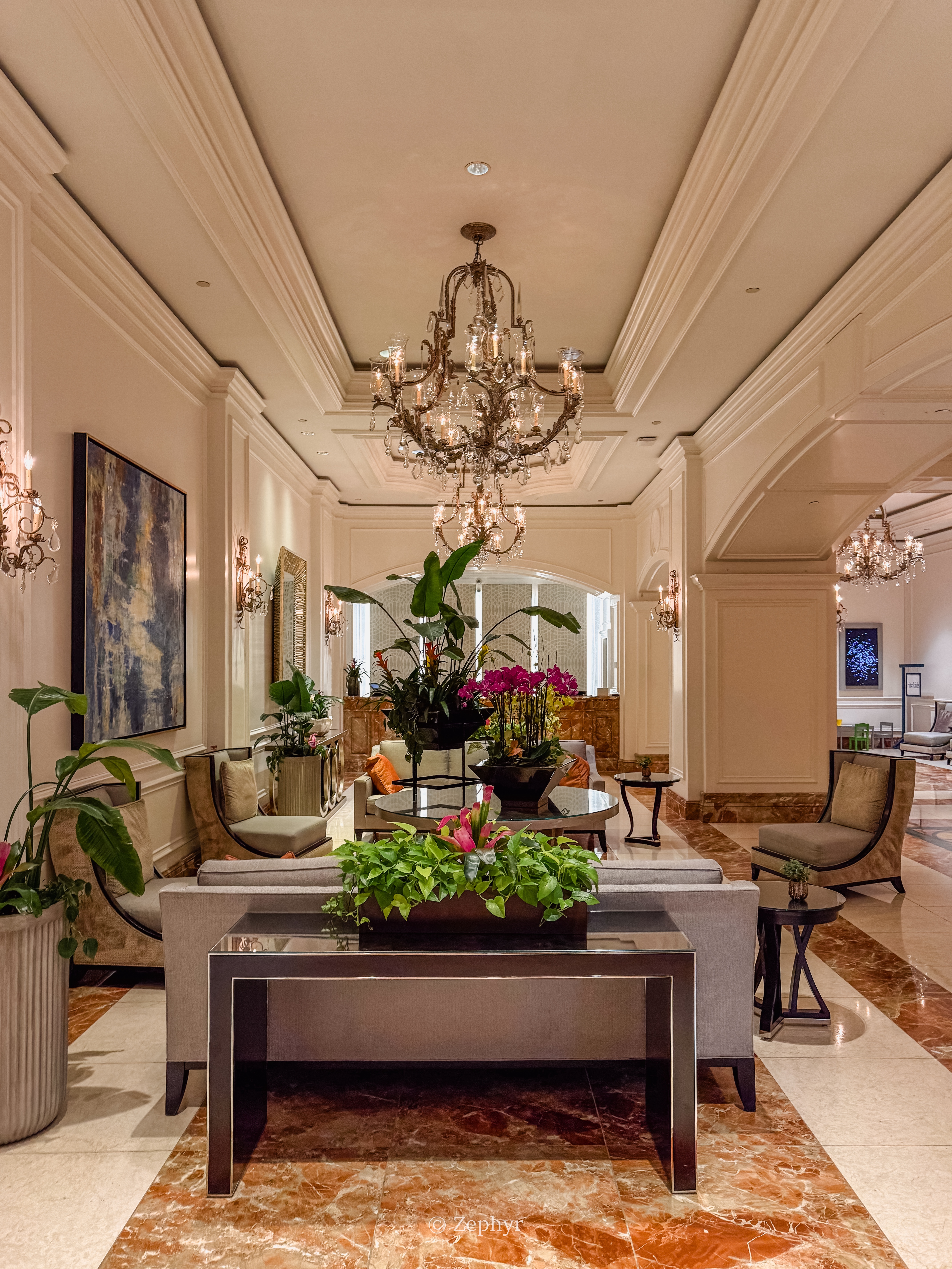 ٺӣ̹ܱߣ˼پƵ The Ritz-Carlton Sarasota