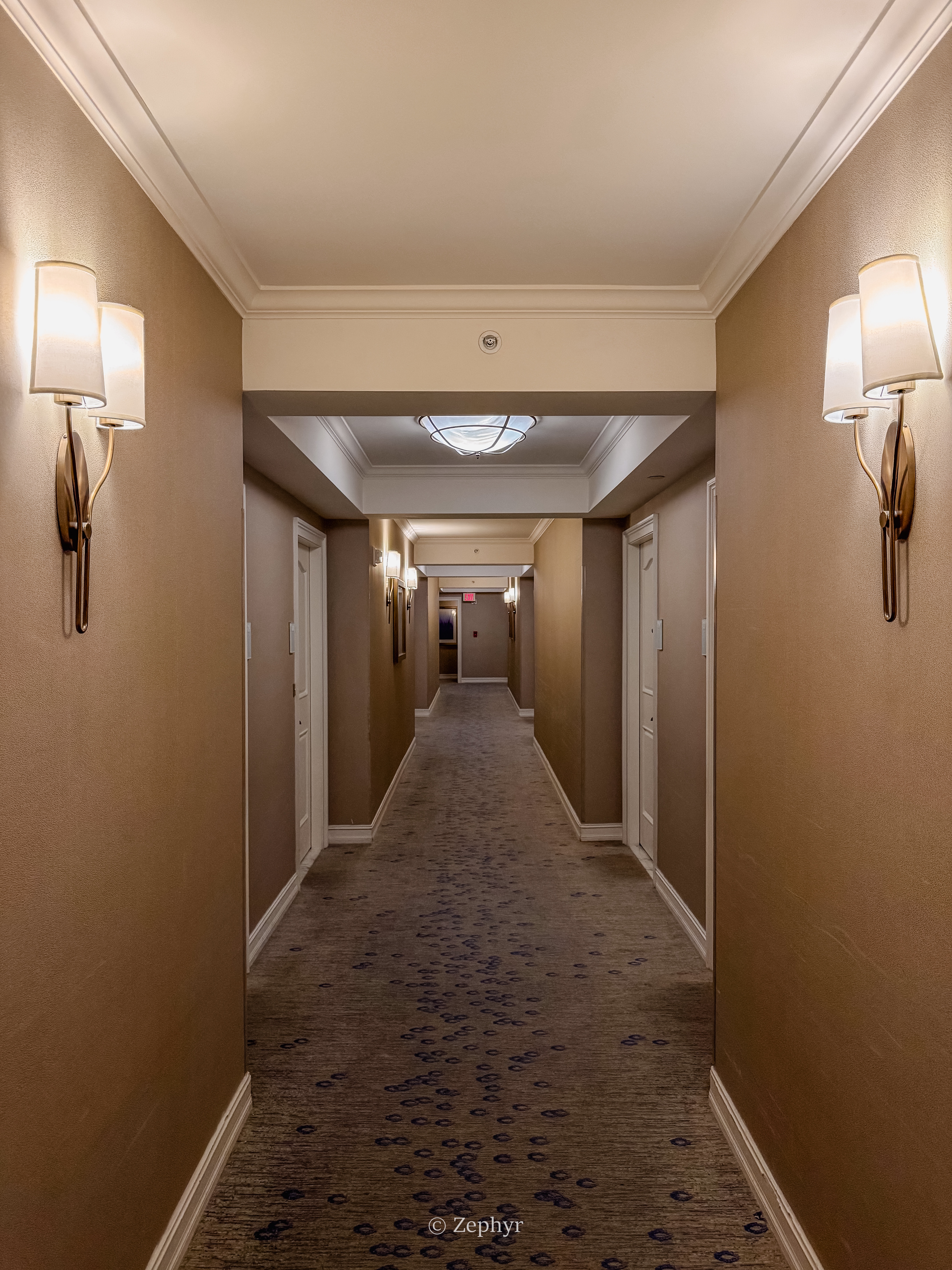 ٺӣ̹ܱߣ˼پƵ The Ritz-Carlton Sarasota