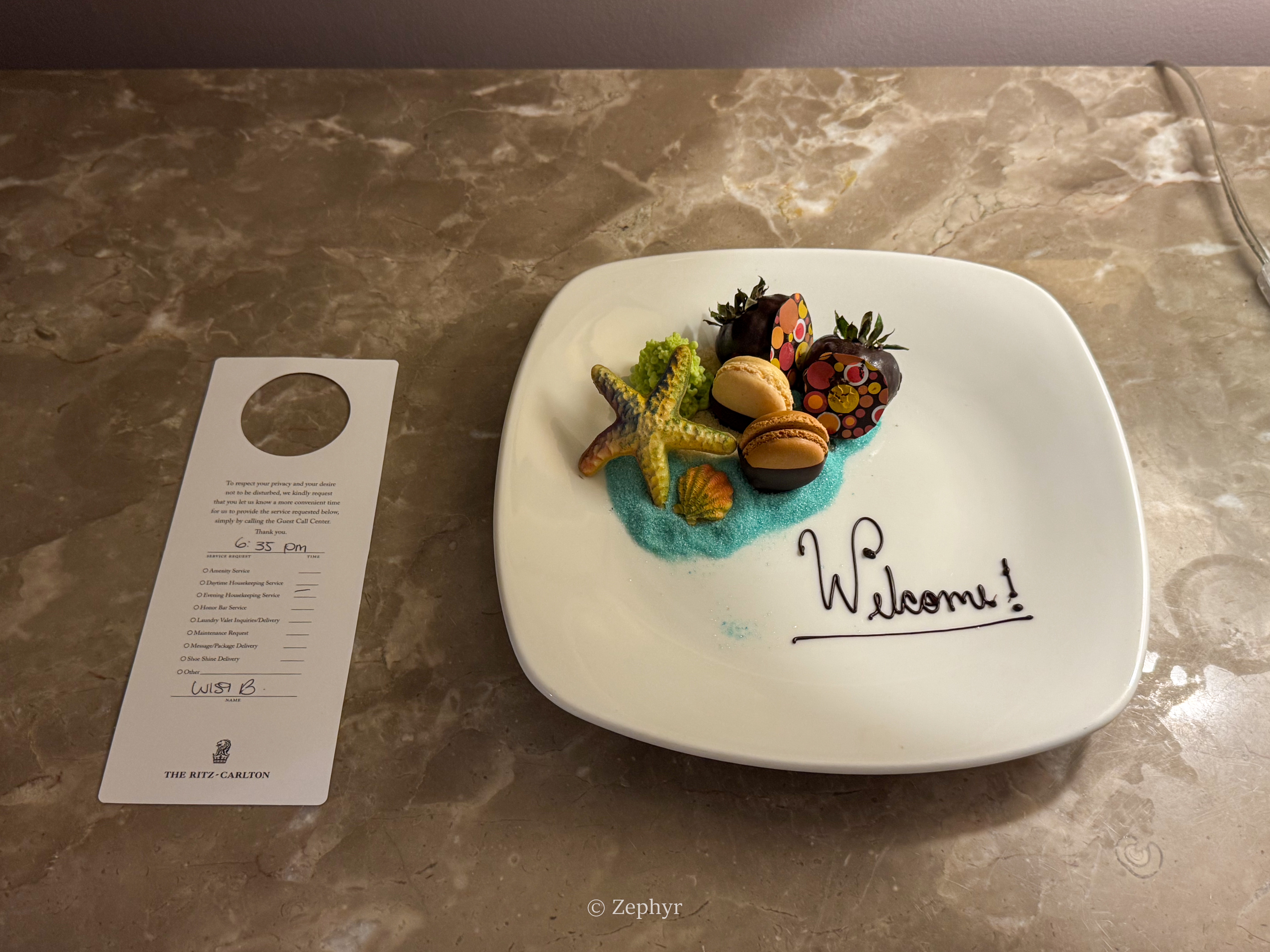 ٺӣ̹ܱߣ˼پƵ The Ritz-Carlton Sarasota