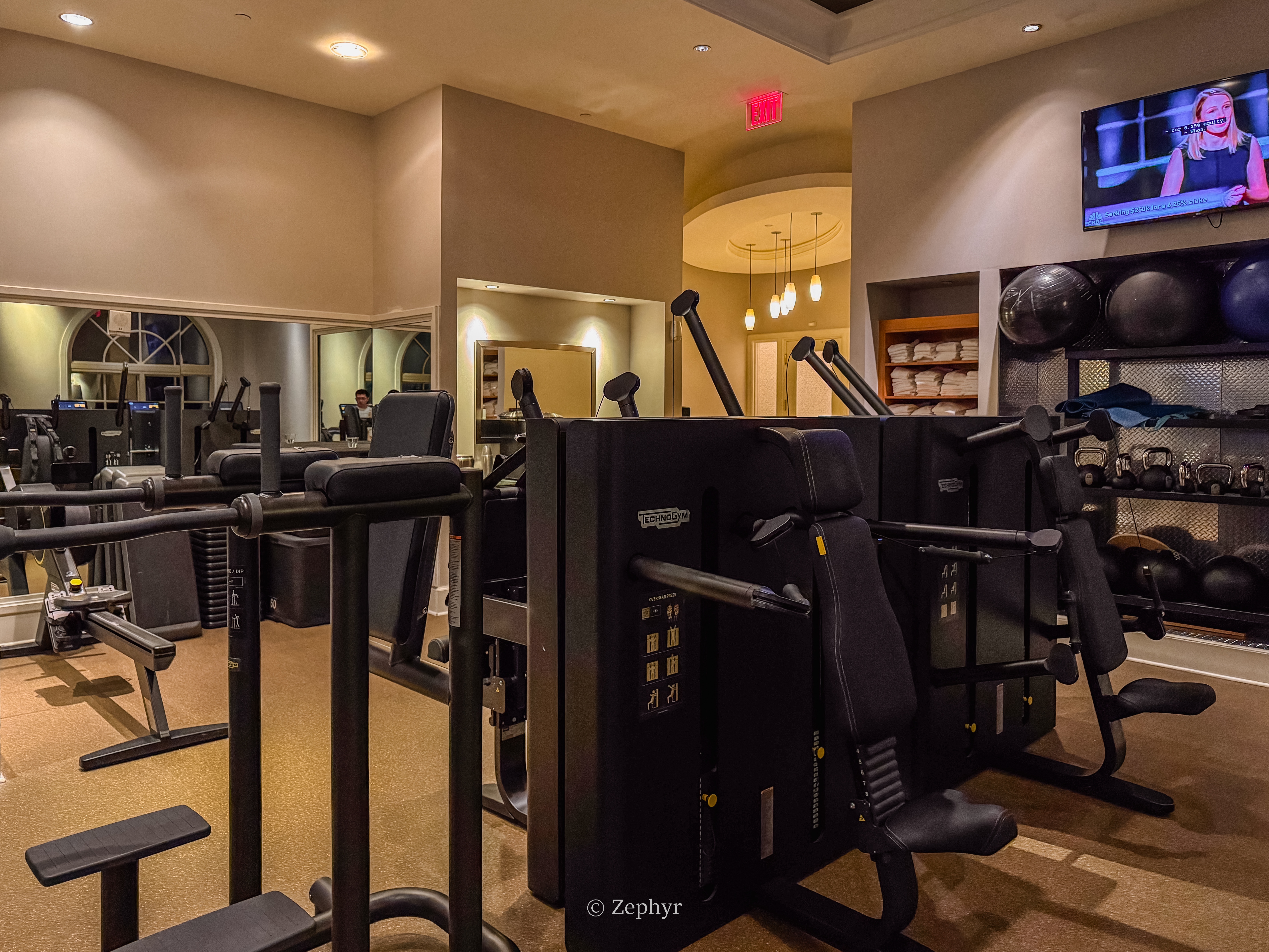ٺӣ̹ܱߣ˼پƵ The Ritz-Carlton Sarasota