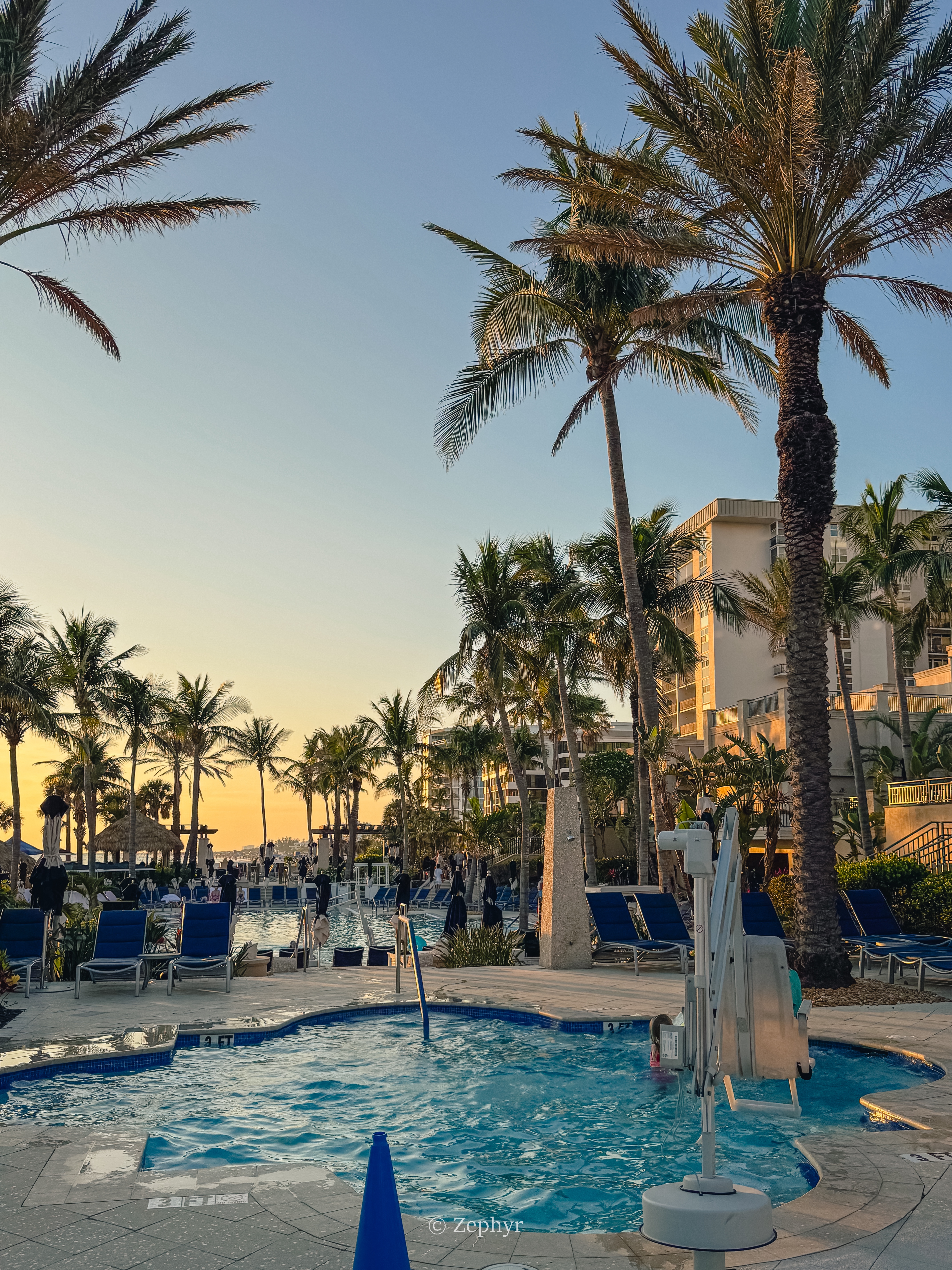 ٺӣ̹ܱߣ˼پƵ The Ritz-Carlton Sarasota