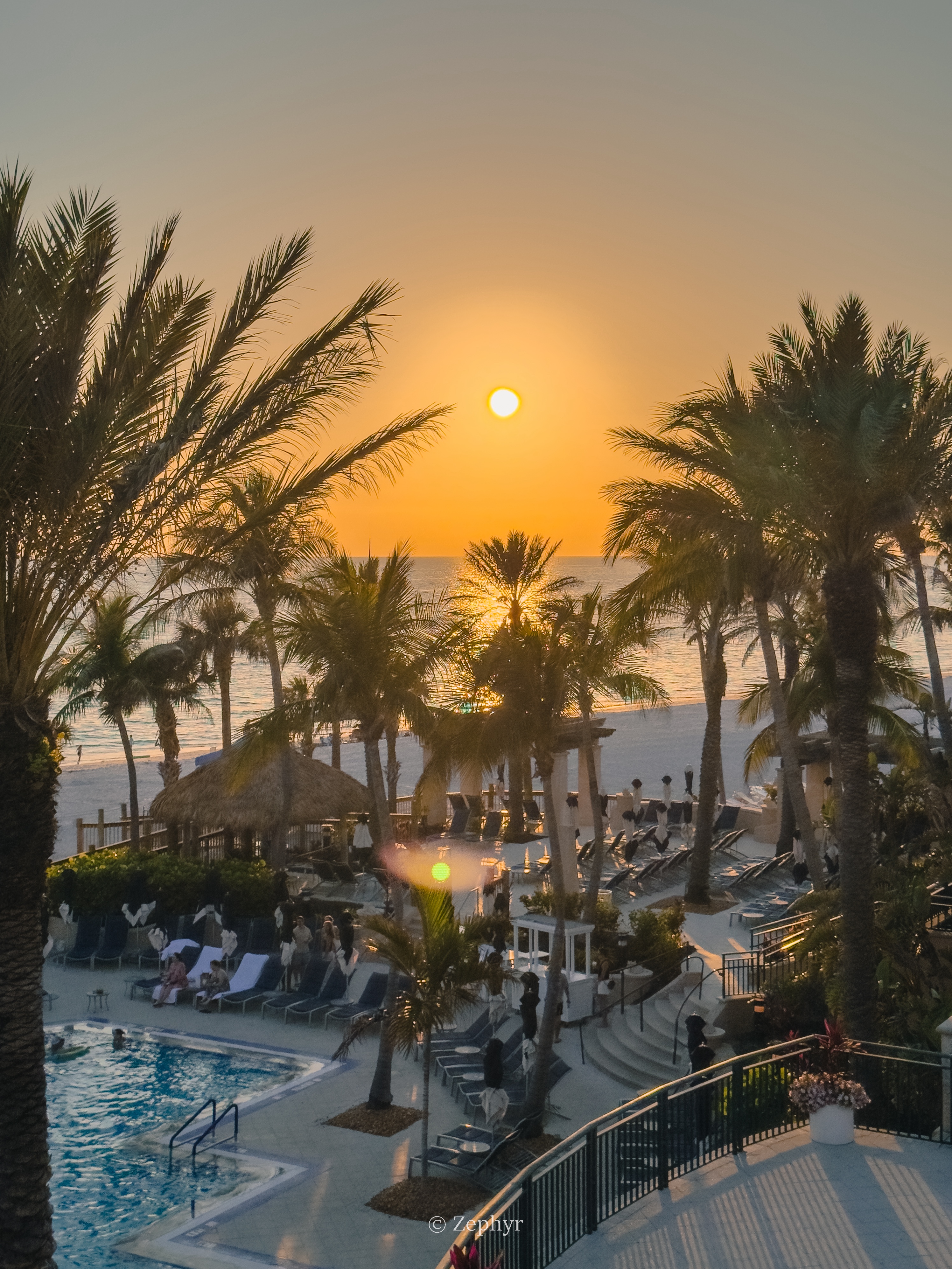 ٺӣ̹ܱߣ˼پƵ The Ritz-Carlton Sarasota