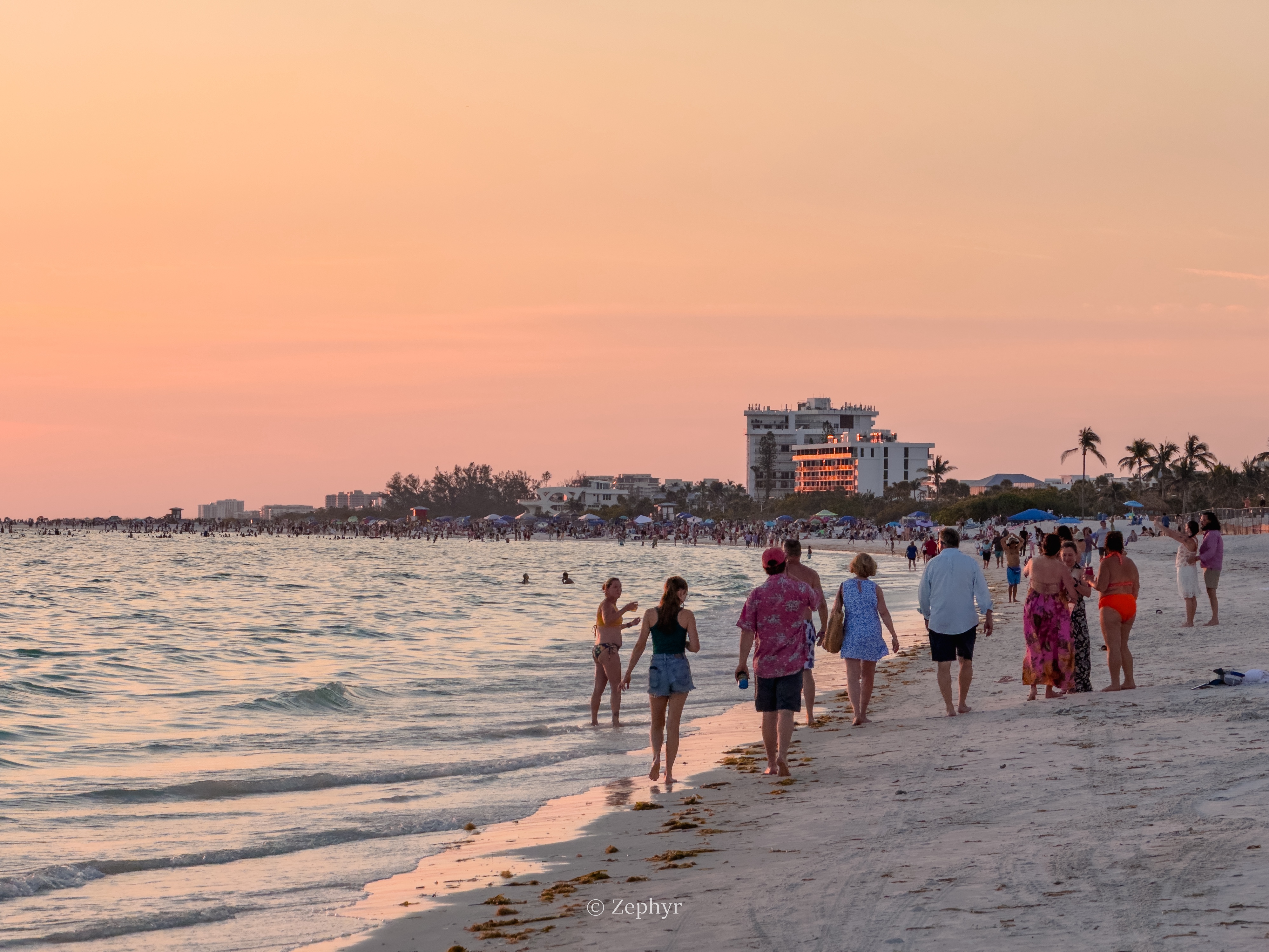 ٺӣ̹ܱߣ˼پƵ The Ritz-Carlton Sarasota