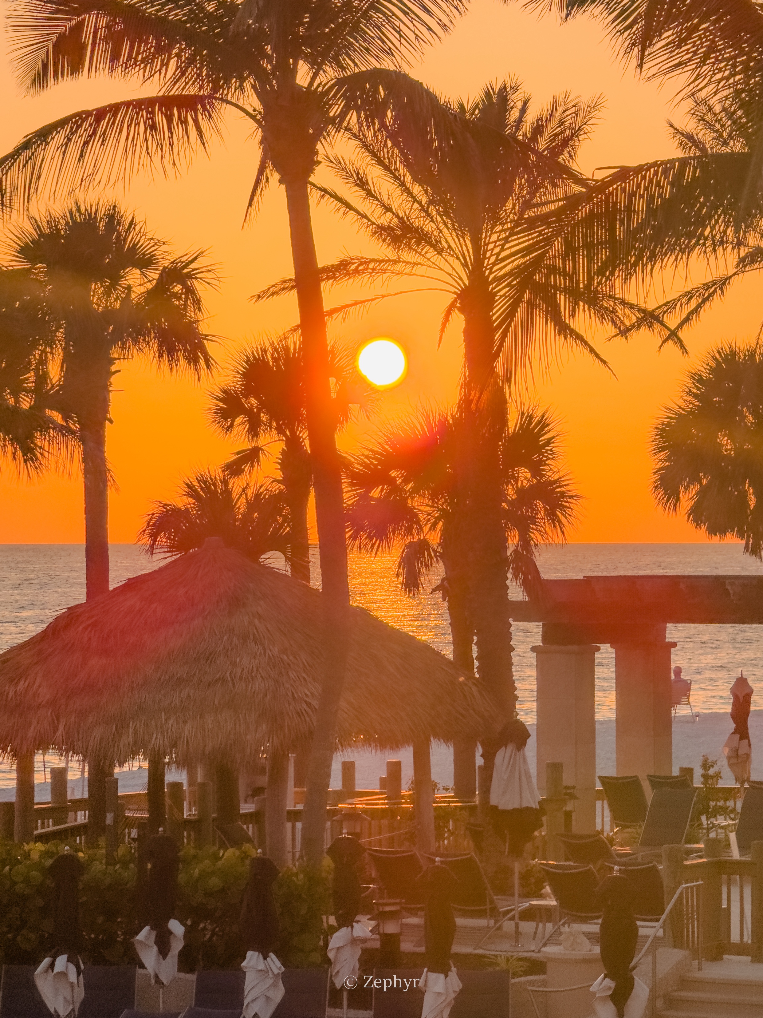 ٺӣ̹ܱߣ˼پƵ The Ritz-Carlton Sarasota