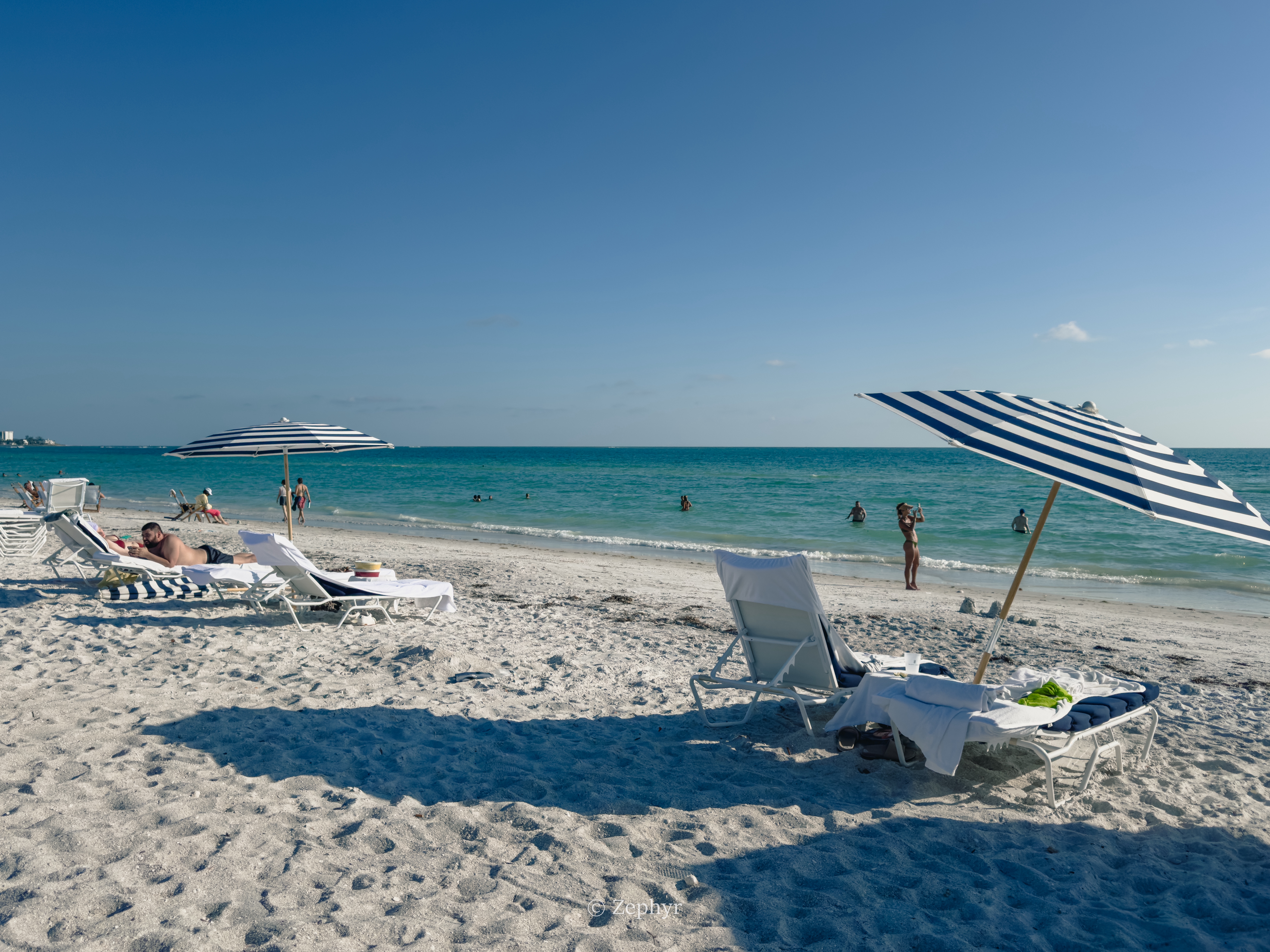 ٺӣ̹ܱߣ˼پƵ The Ritz-Carlton Sarasota