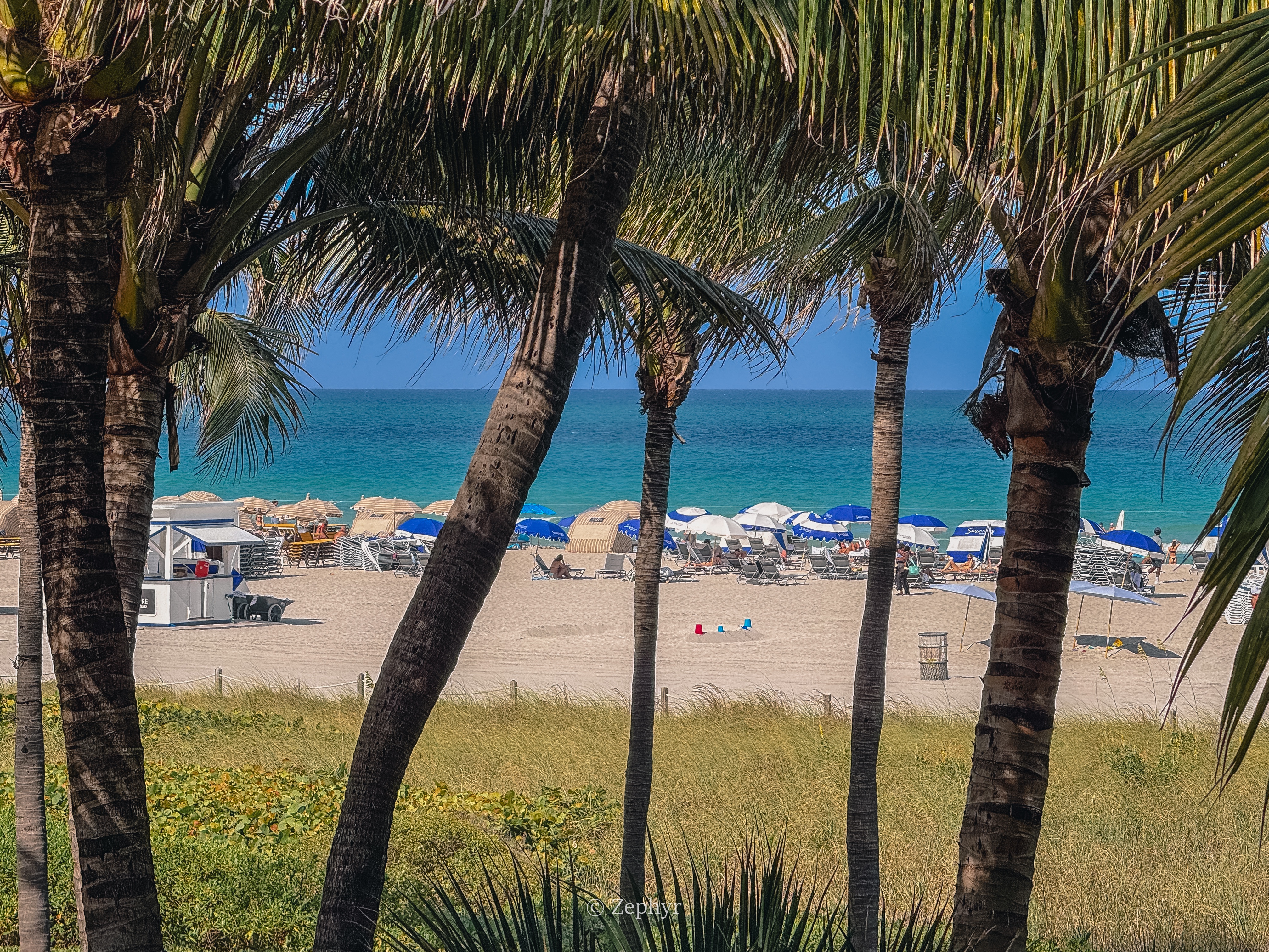 ̲ܺ¥գɳ̲˼ ׷The Ritz-Carlton South Beach Miami