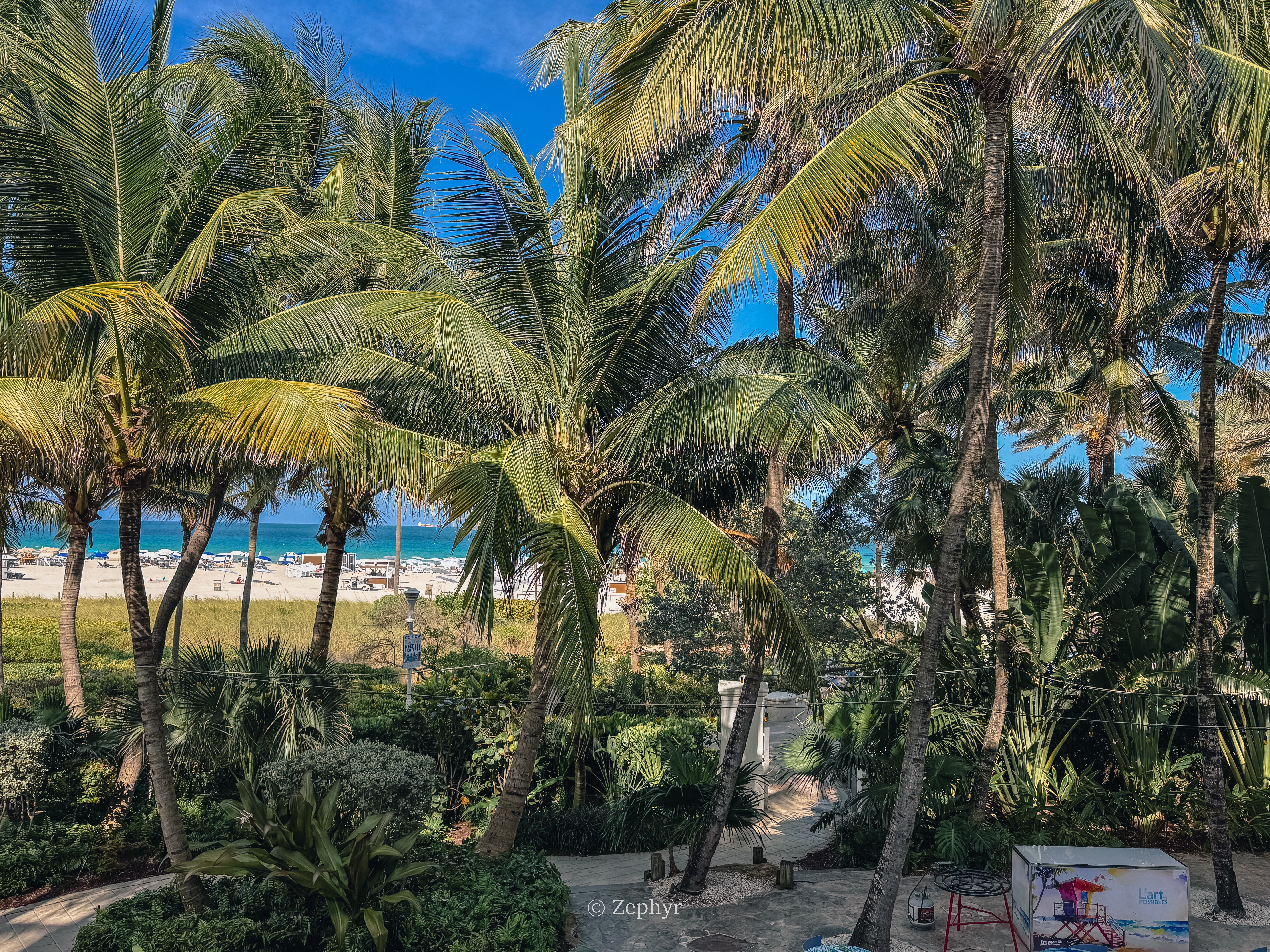 ̲ܺ¥գɳ̲˼ ׷The Ritz-Carlton South Beach Miami