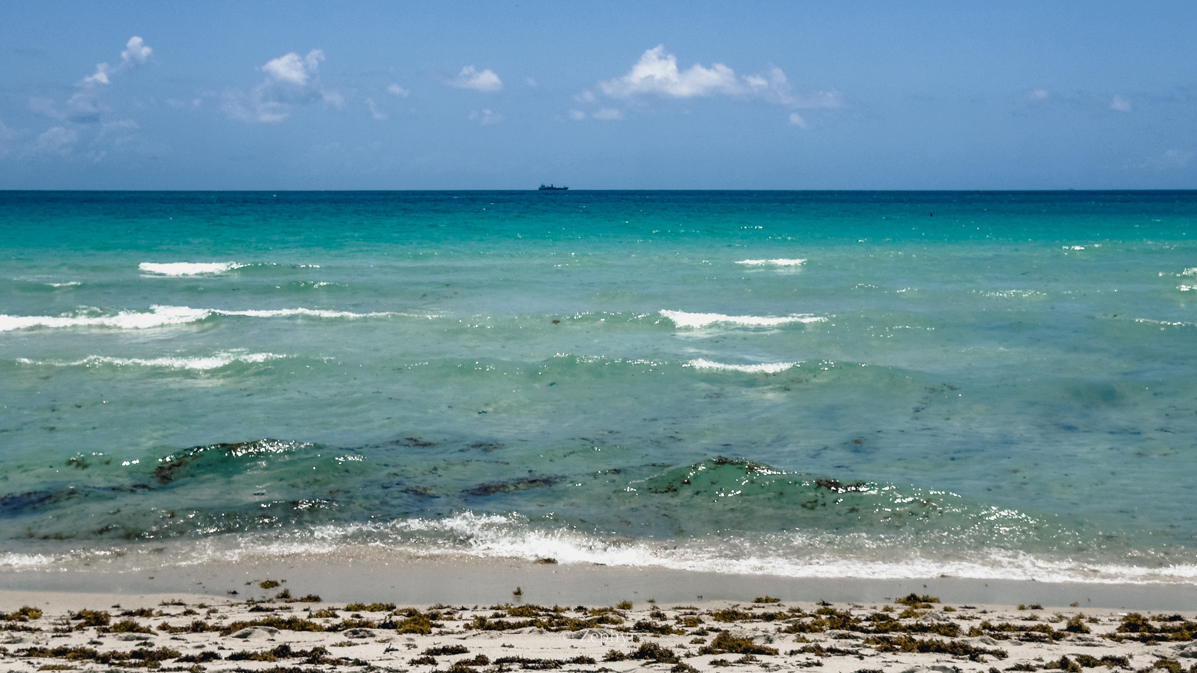 ̲ܺ¥գɳ̲˼ ׷The Ritz-Carlton South Beach Miami