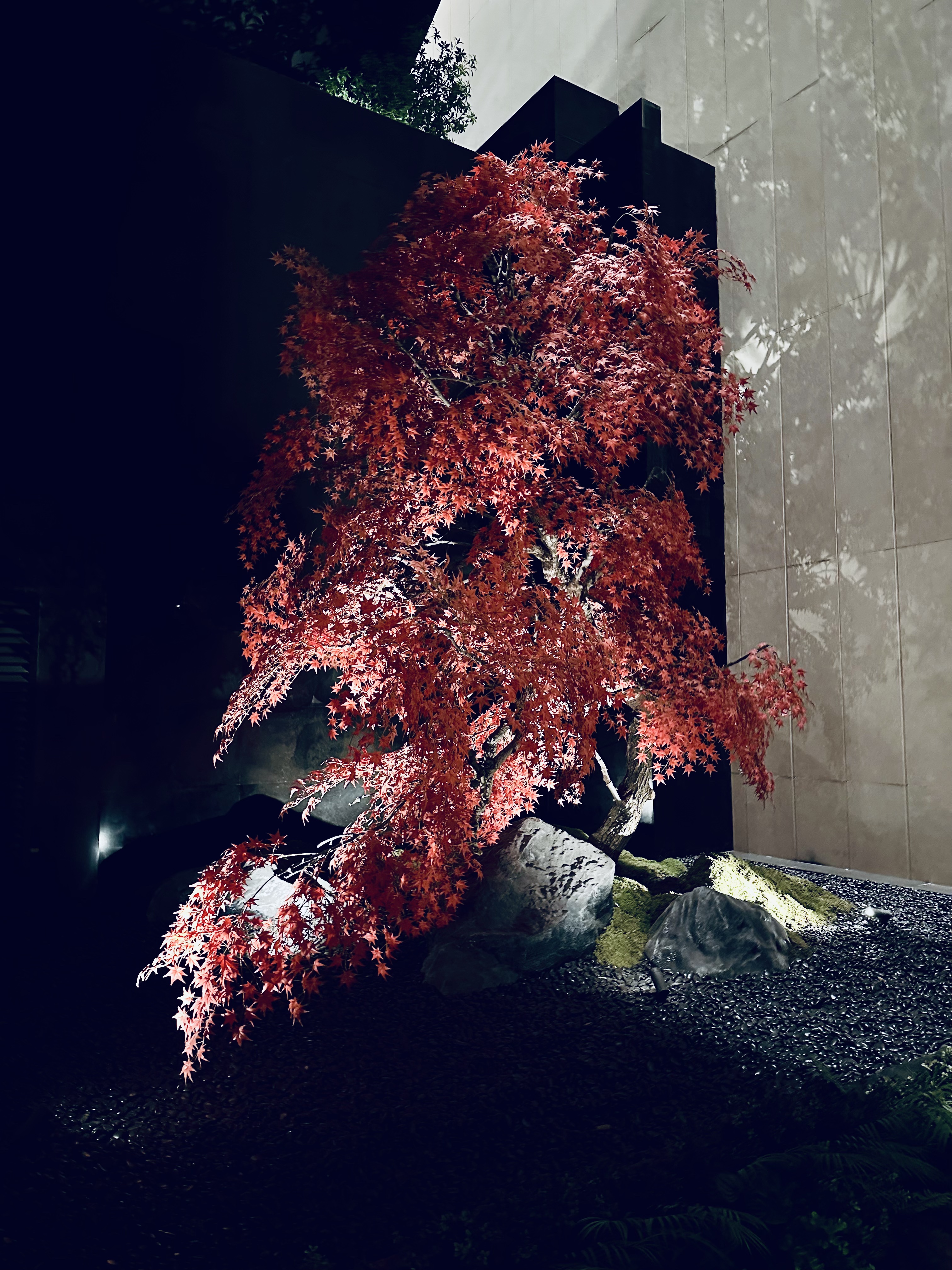 ƾϷ硪źշѶɾƵ꺣