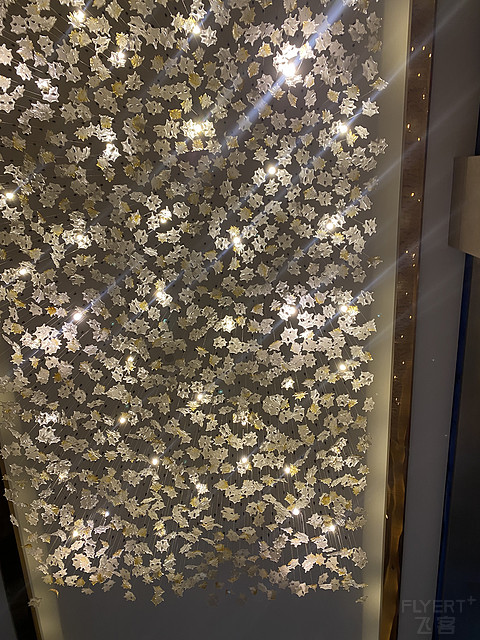 武汉东西湖华美达-湖景行政房入住