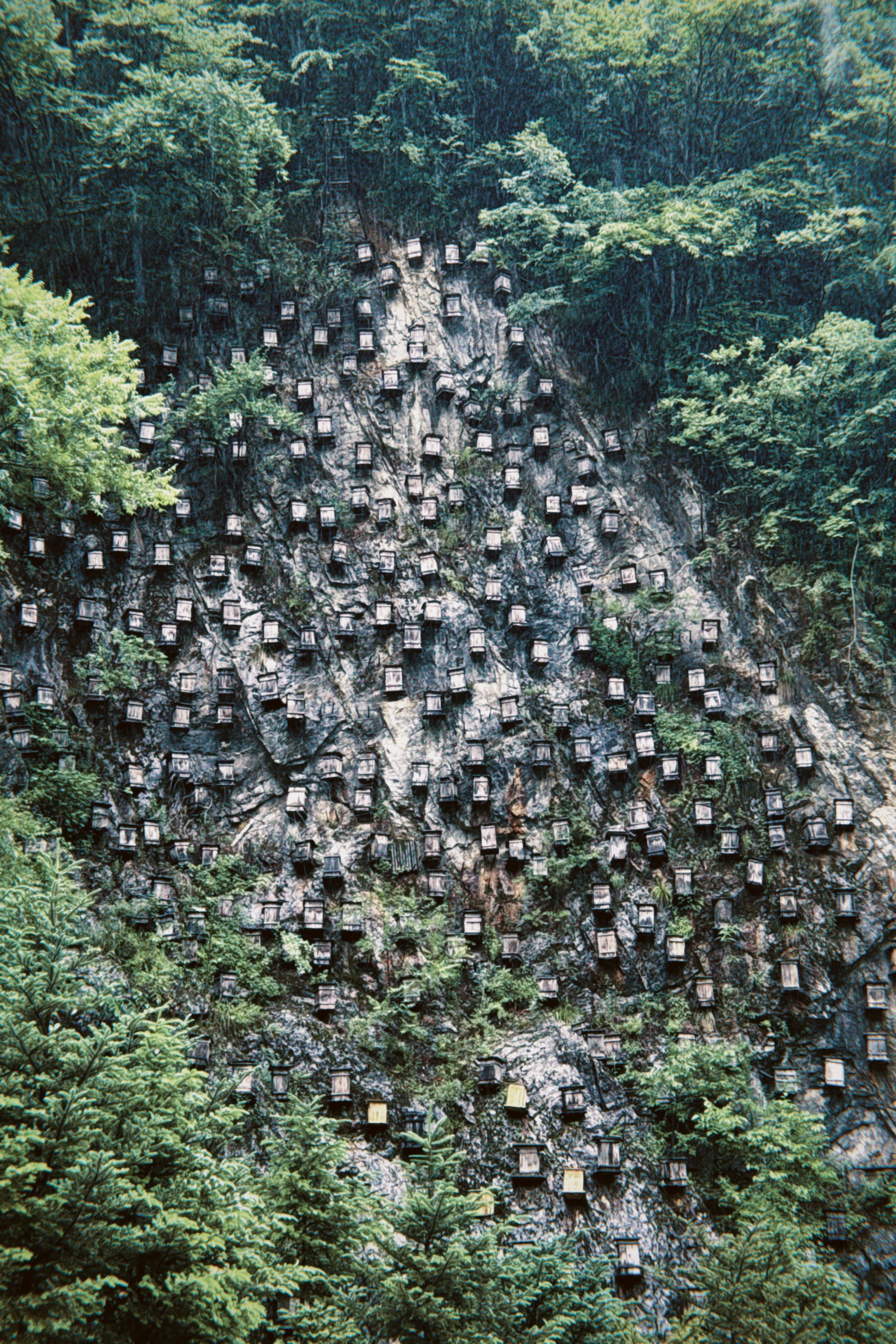 ũܻʹڼվƵ