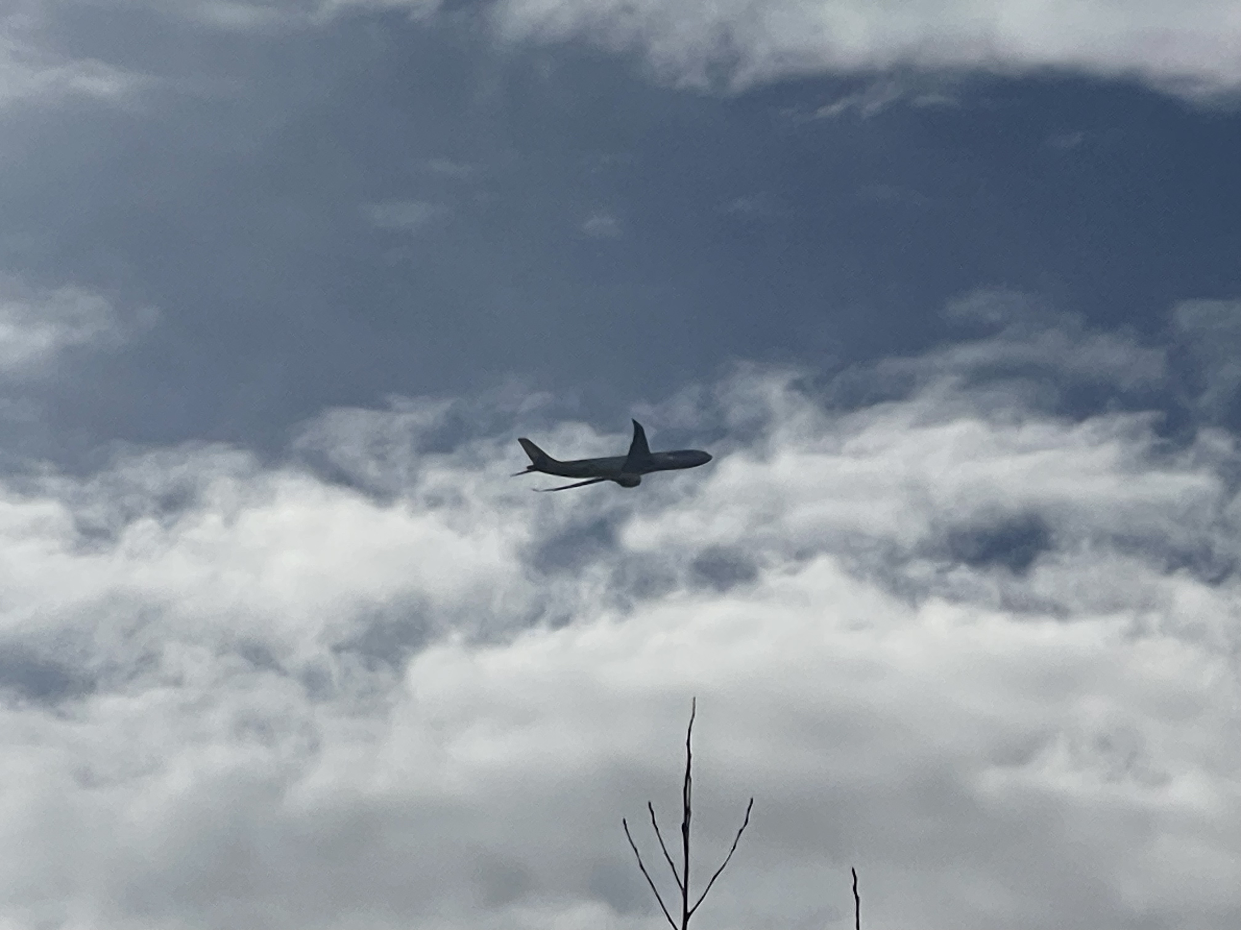 ɻ  ˹֣ͼ¬ȣAirbusܲηRepo