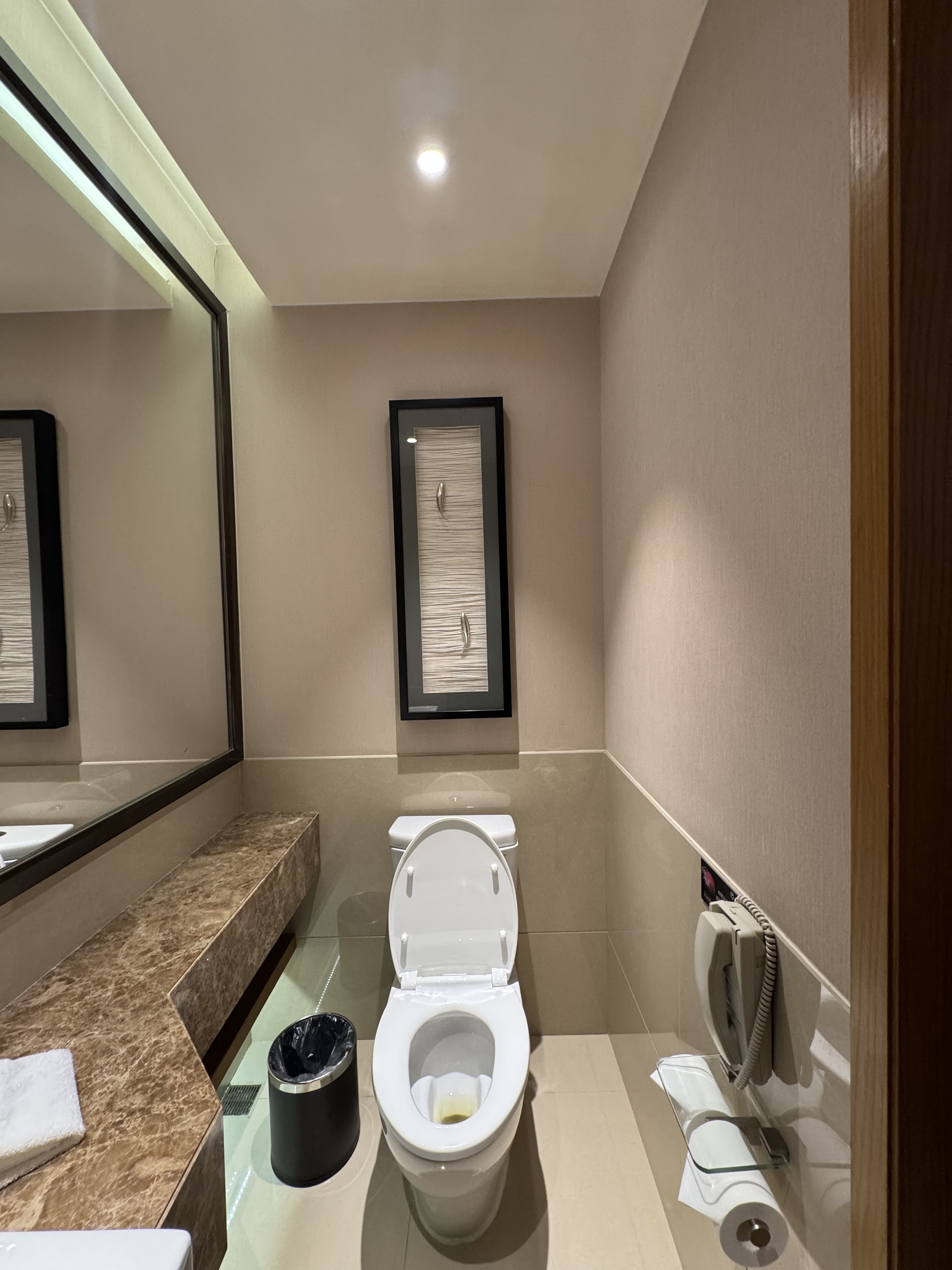 ȫȫ 300 Ÿͼ㽭ϣֶȼپƵ⛱🏨double tree