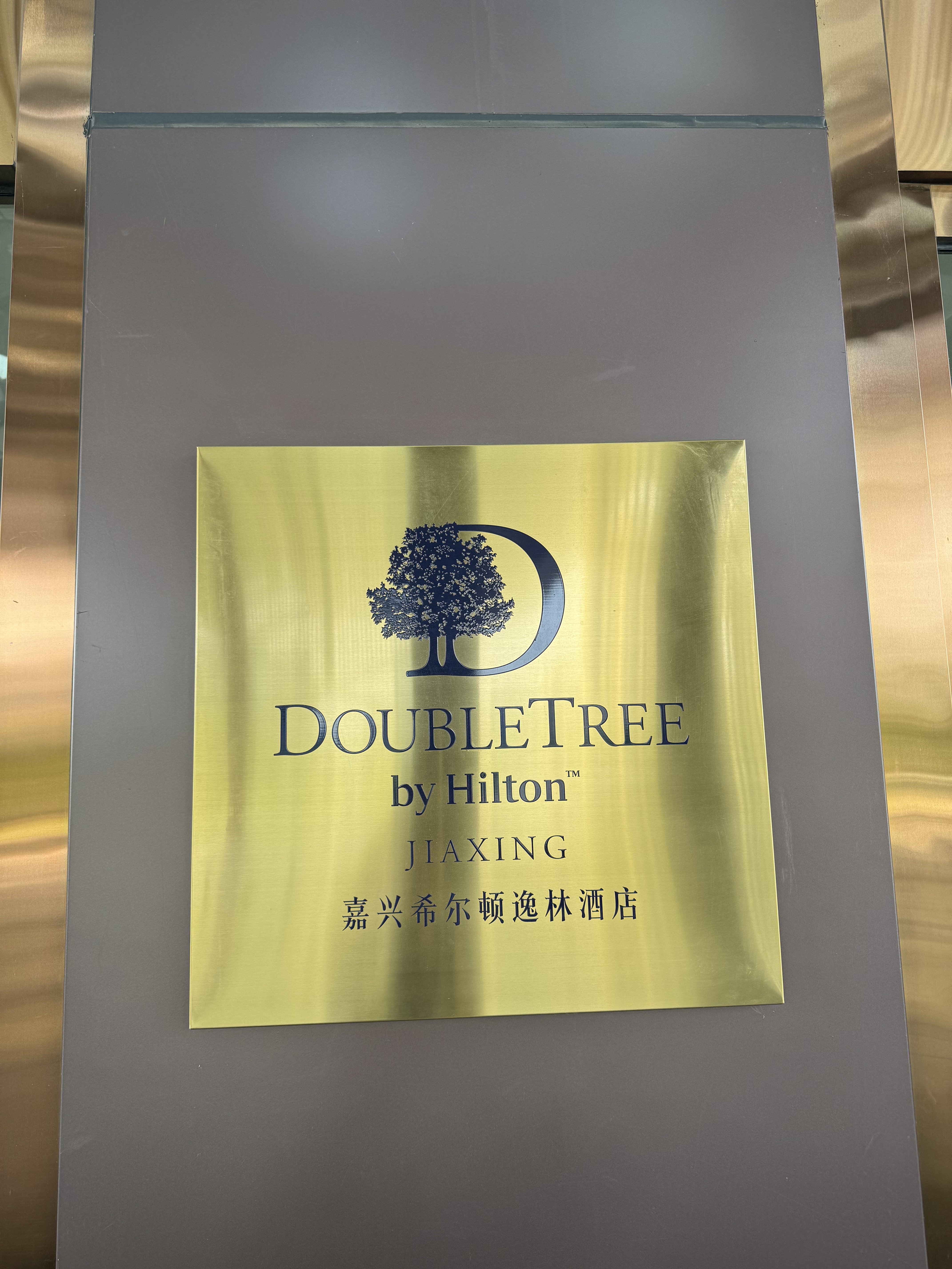 ȫȫ 300 Ÿͼ㽭ϣֶȼپƵ⛱🏨double tree
