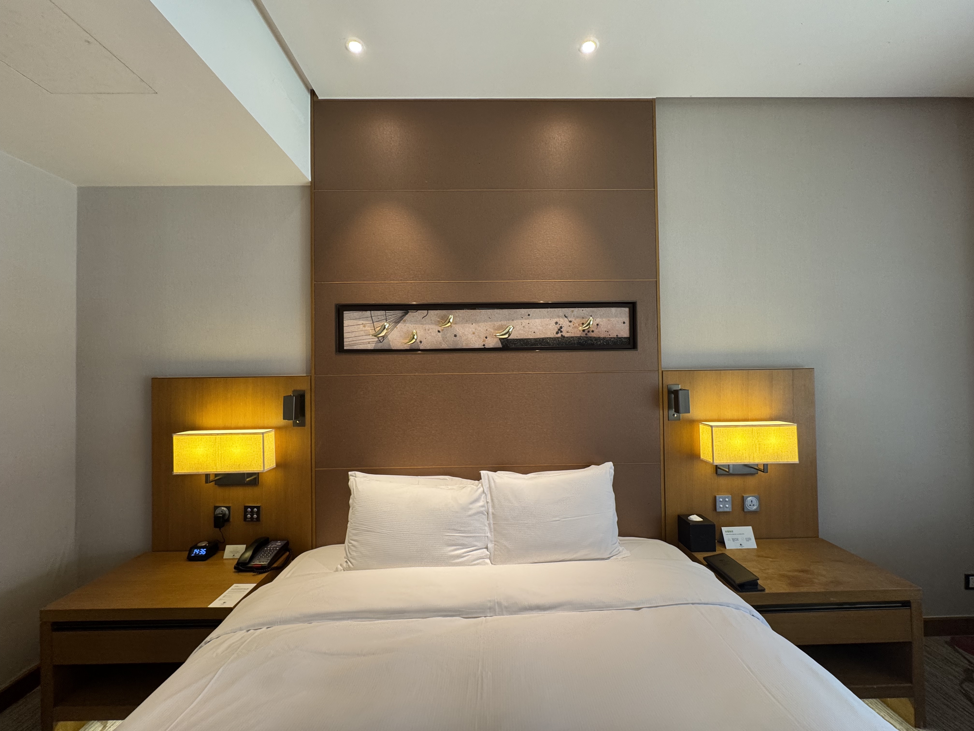 ȫȫ 300 Ÿͼ㽭ϣֶȼپƵ⛱🏨double tree