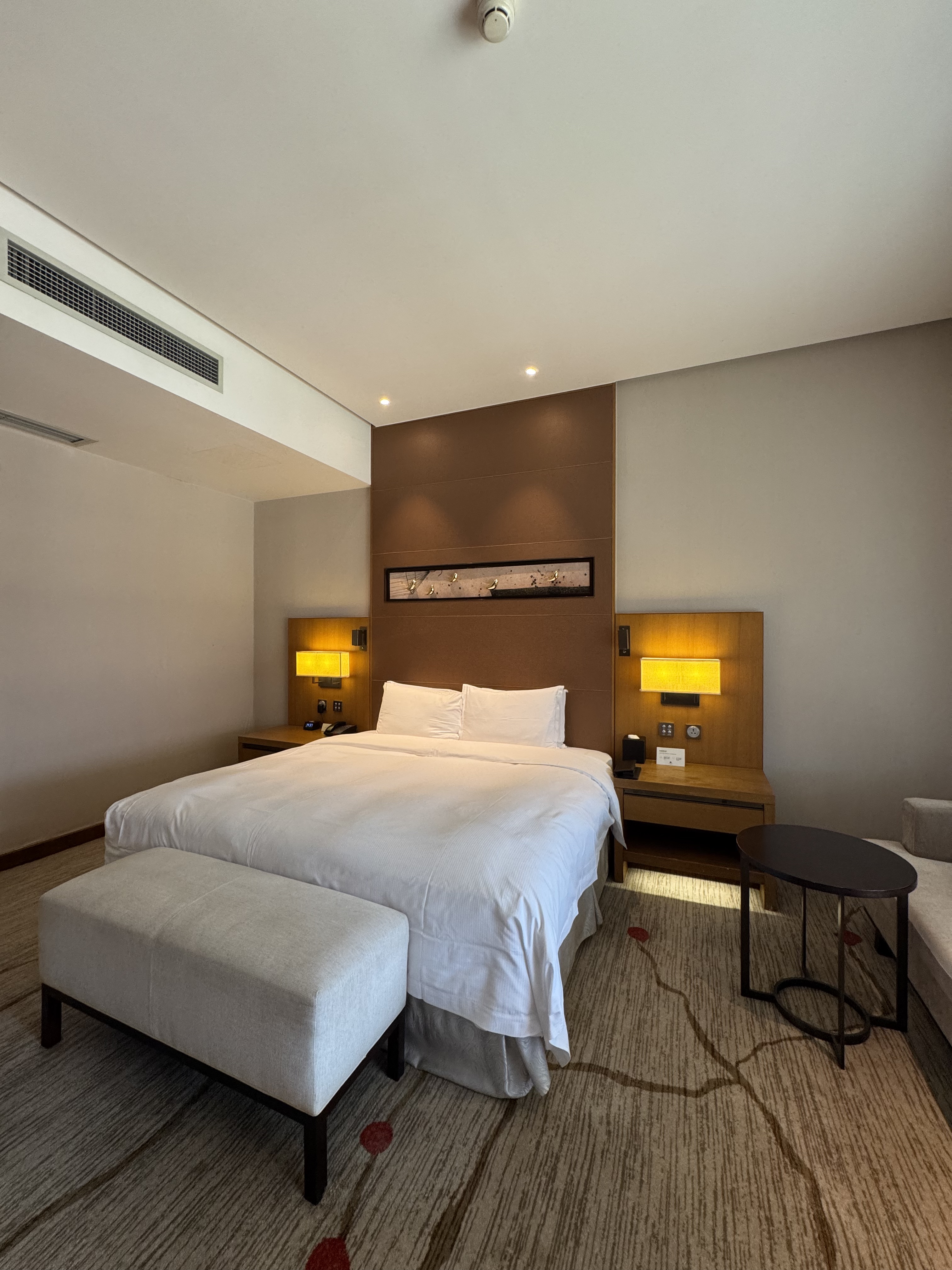 ȫȫ 300 Ÿͼ㽭ϣֶȼپƵ⛱🏨double tree