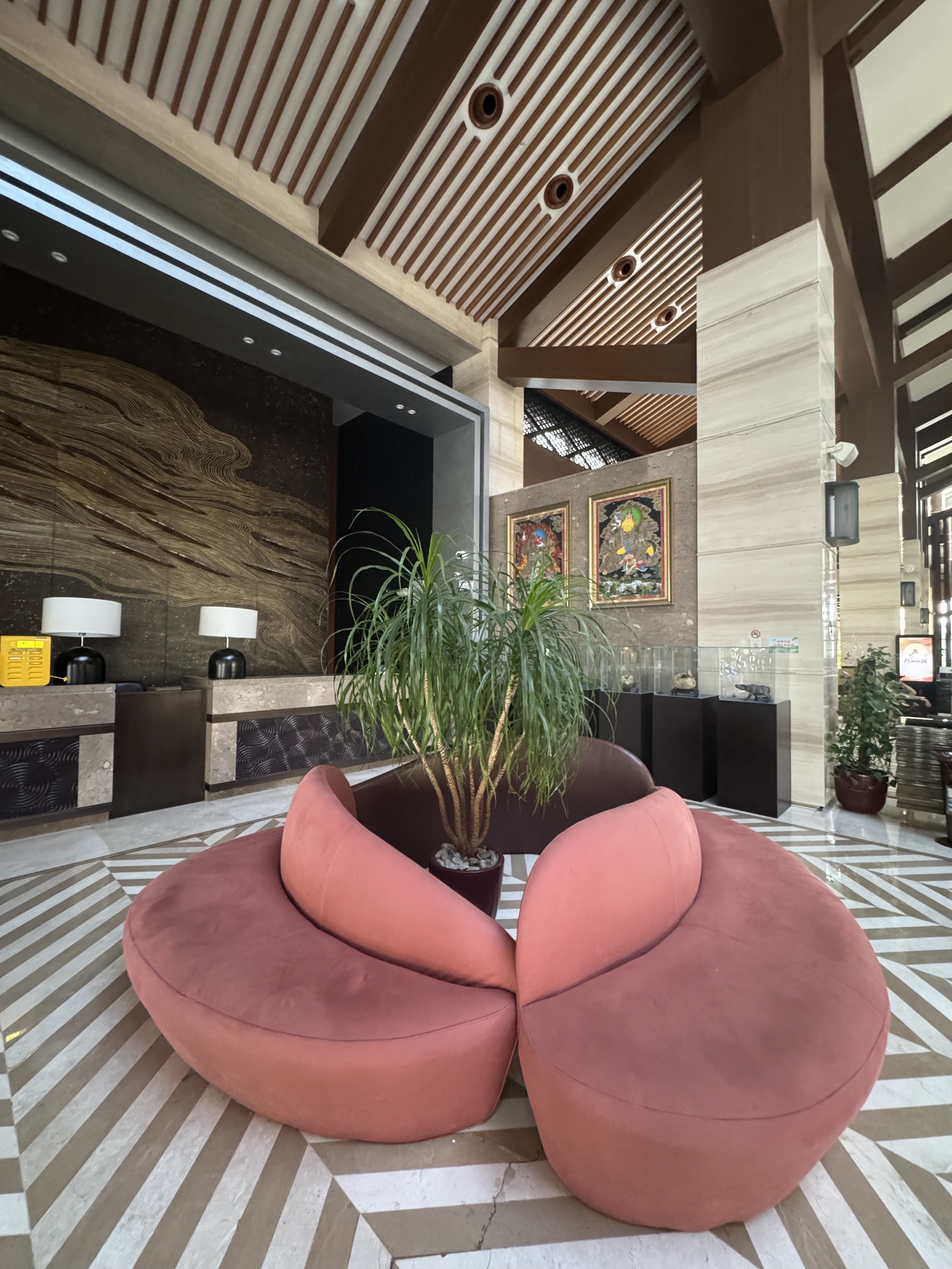 ȫȫ 300 Ÿͼ㽭ϣֶȼپƵ⛱🏨double tree