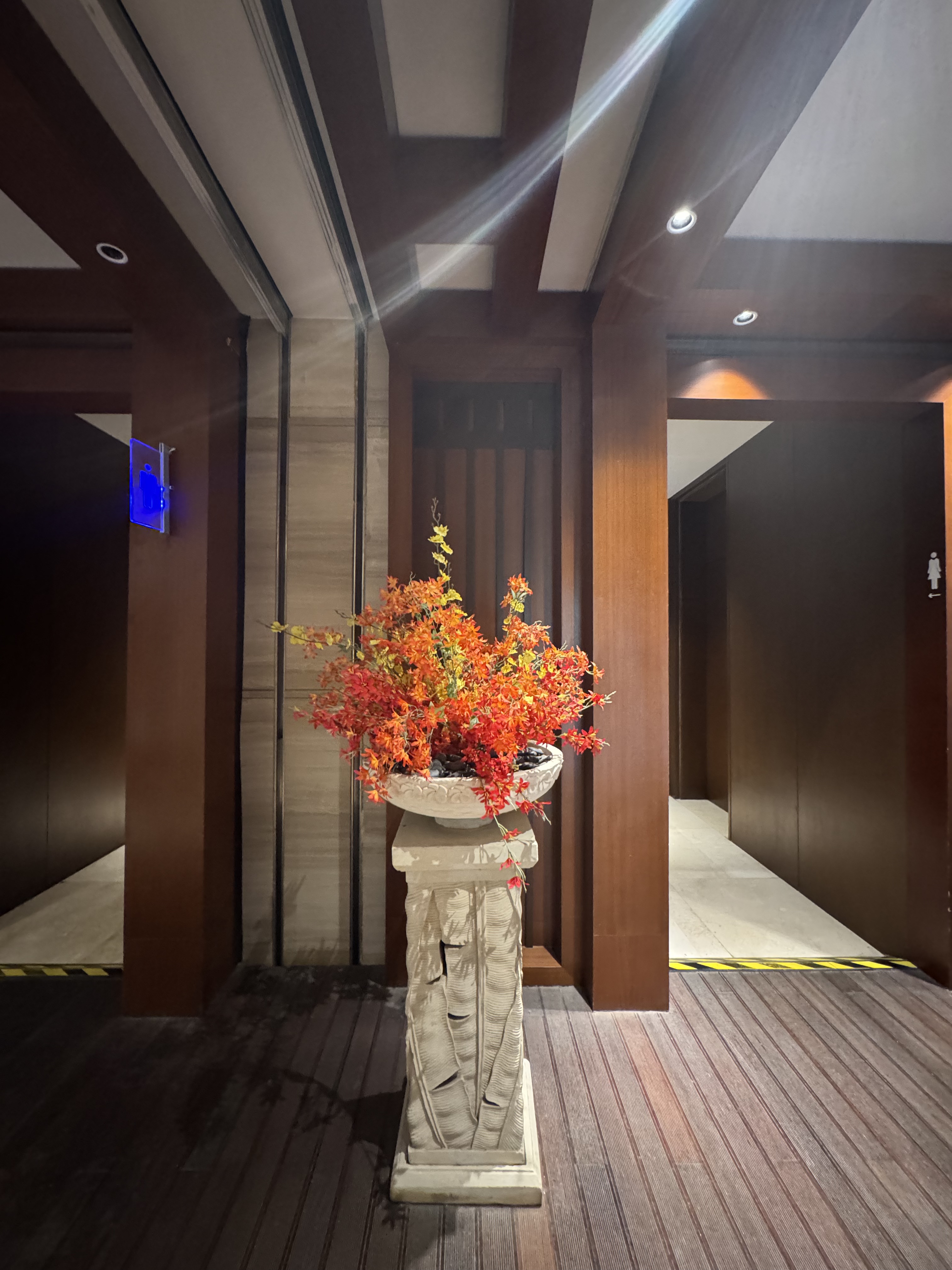 ȫȫ 300 Ÿͼ㽭ϣֶȼپƵ⛱🏨double tree