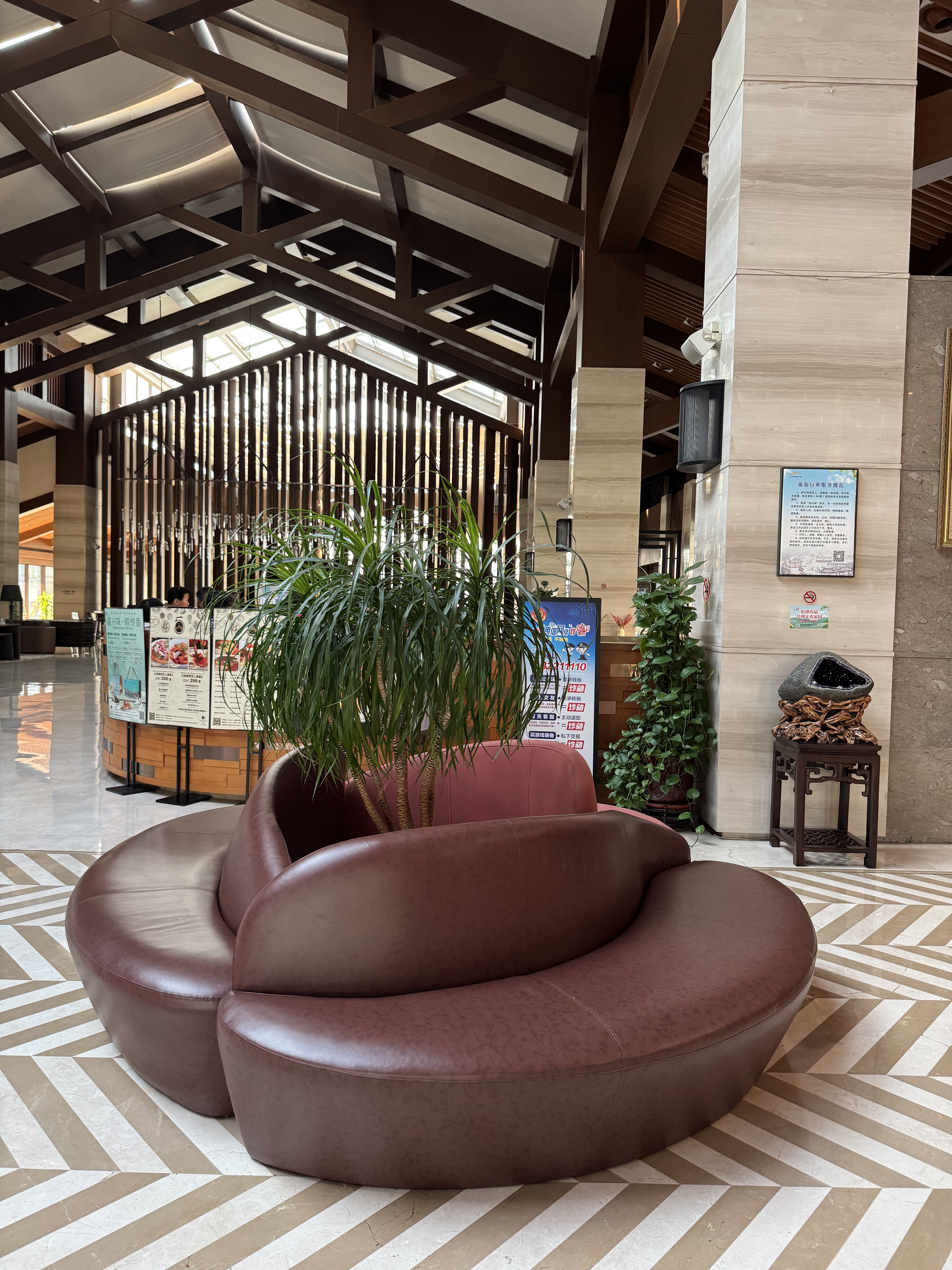 ȫȫ 300 Ÿͼ㽭ϣֶȼپƵ⛱🏨double tree