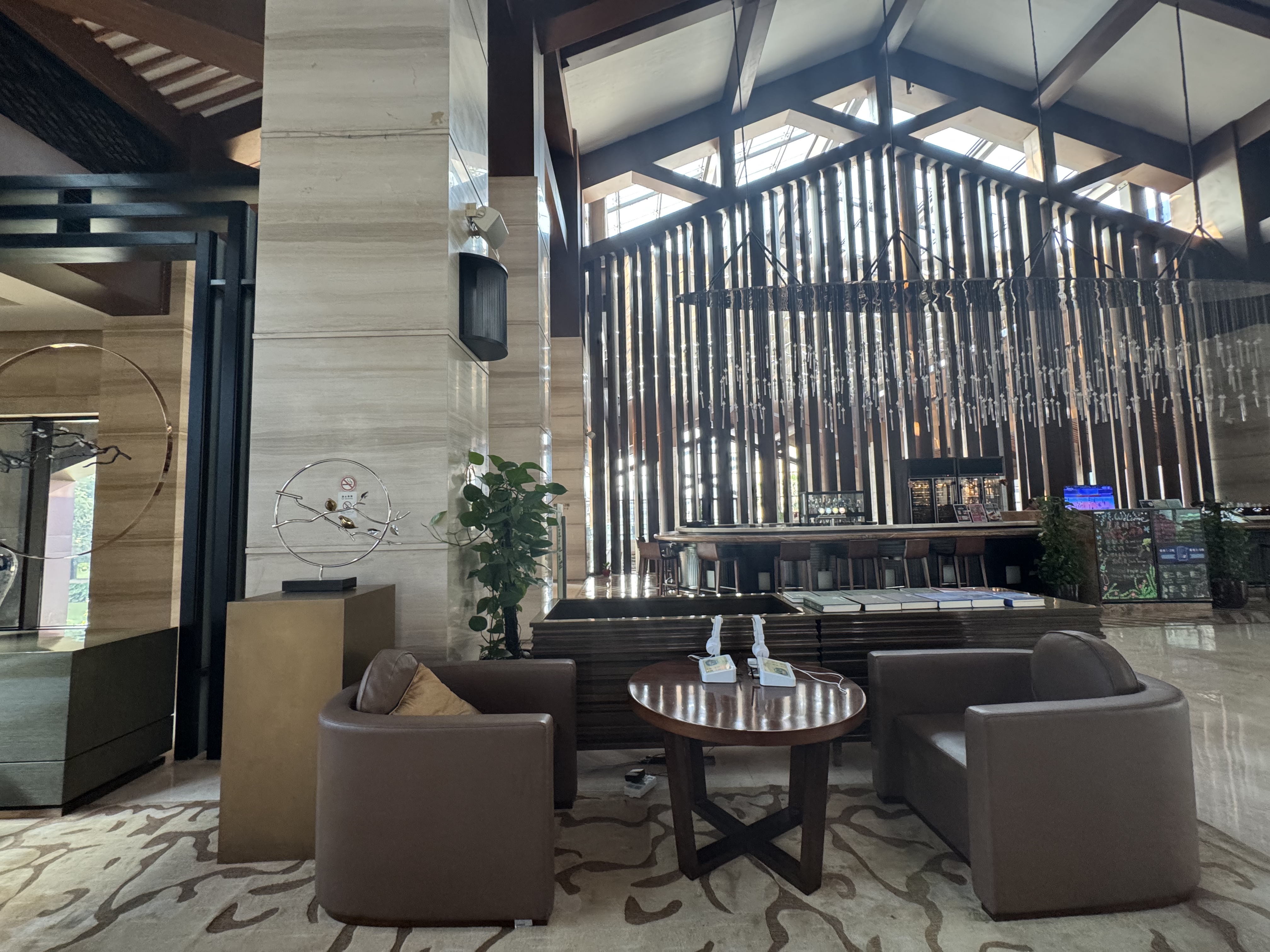 ȫȫ 300 Ÿͼ㽭ϣֶȼپƵ⛱🏨double tree