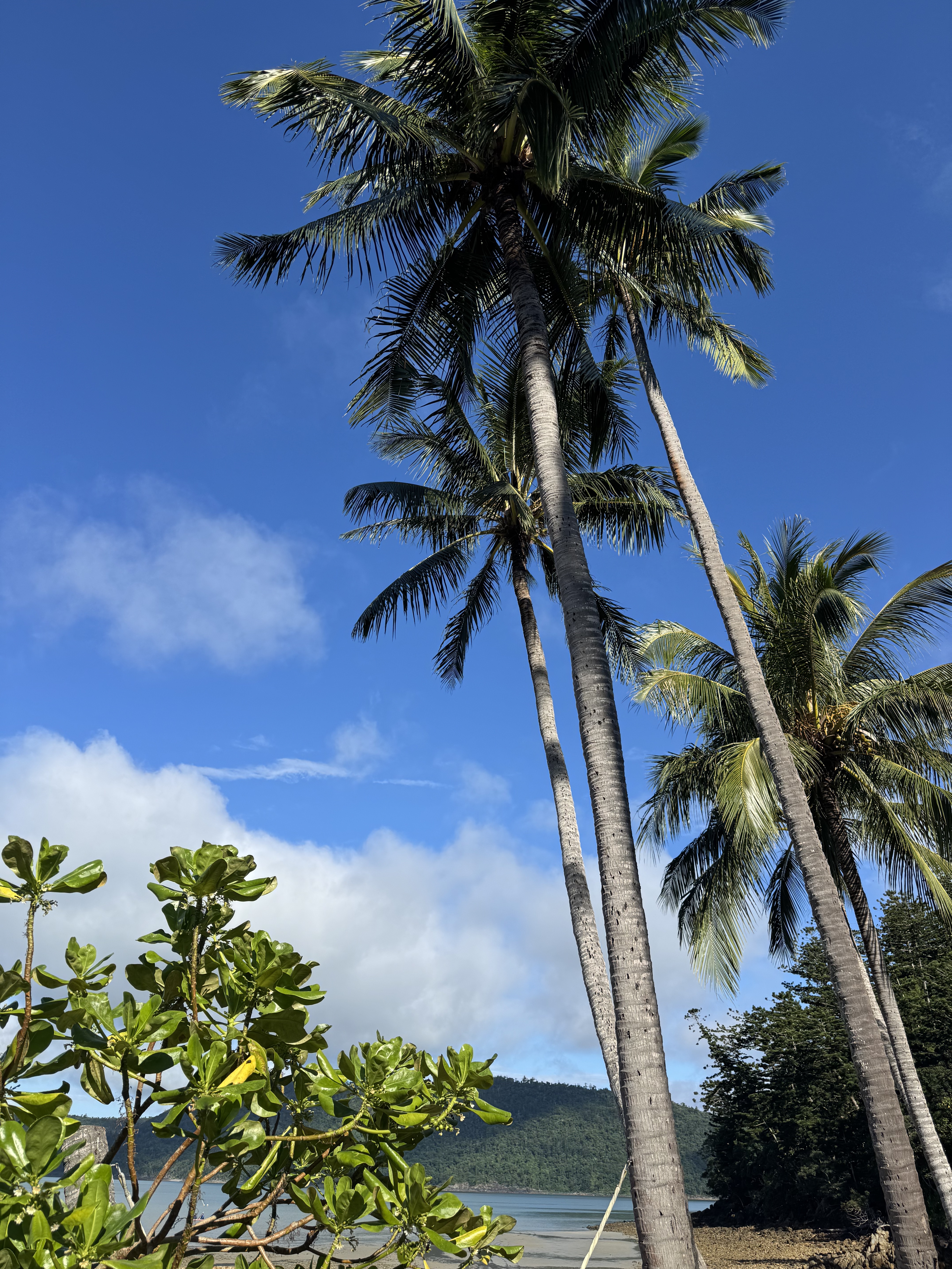 ʷ˹Ѳ - Elysian RetreatʥȺOceanfront villa w/ rainshower