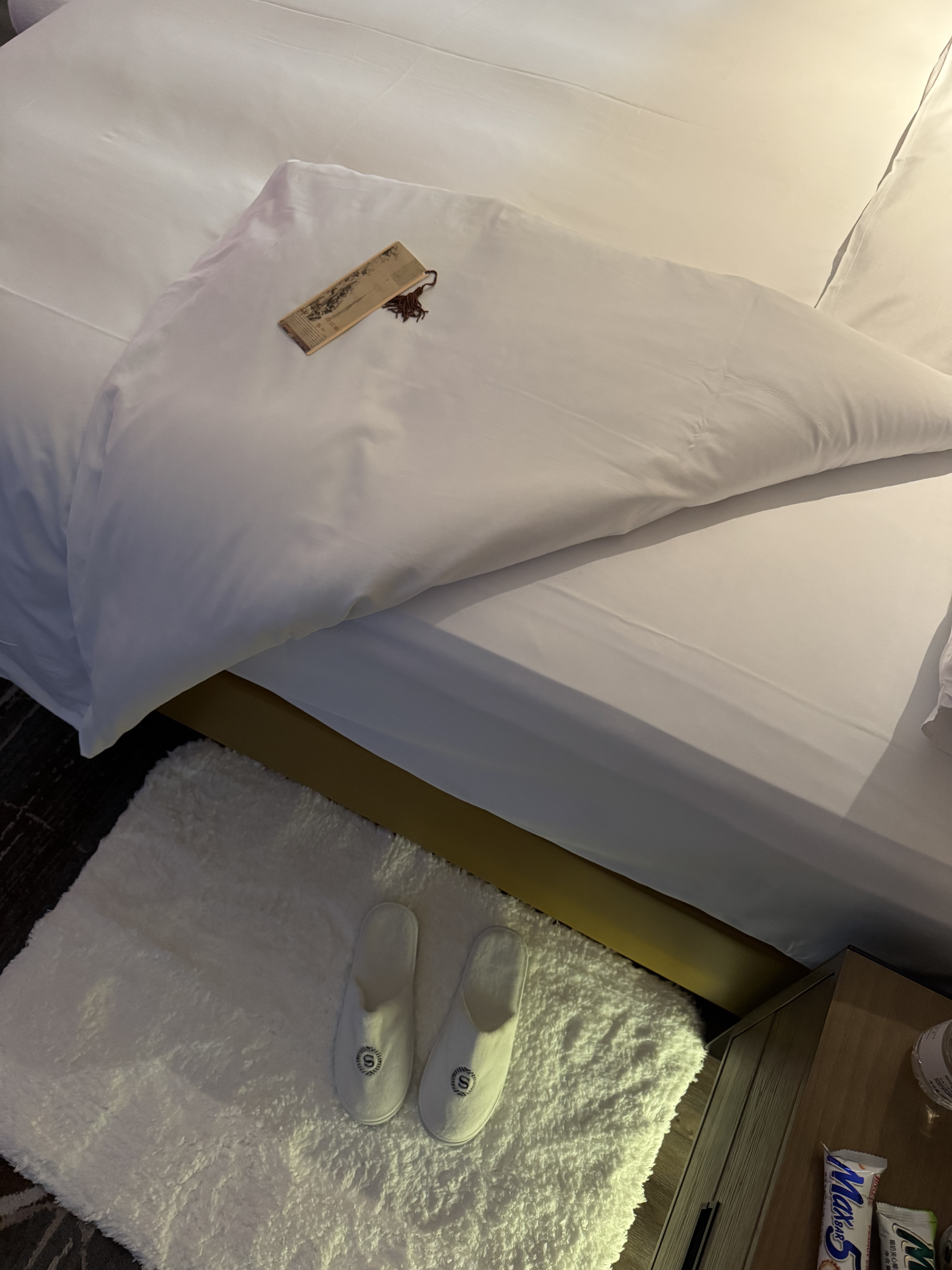 Sheraton Fuyang ϲ  ɽˮ